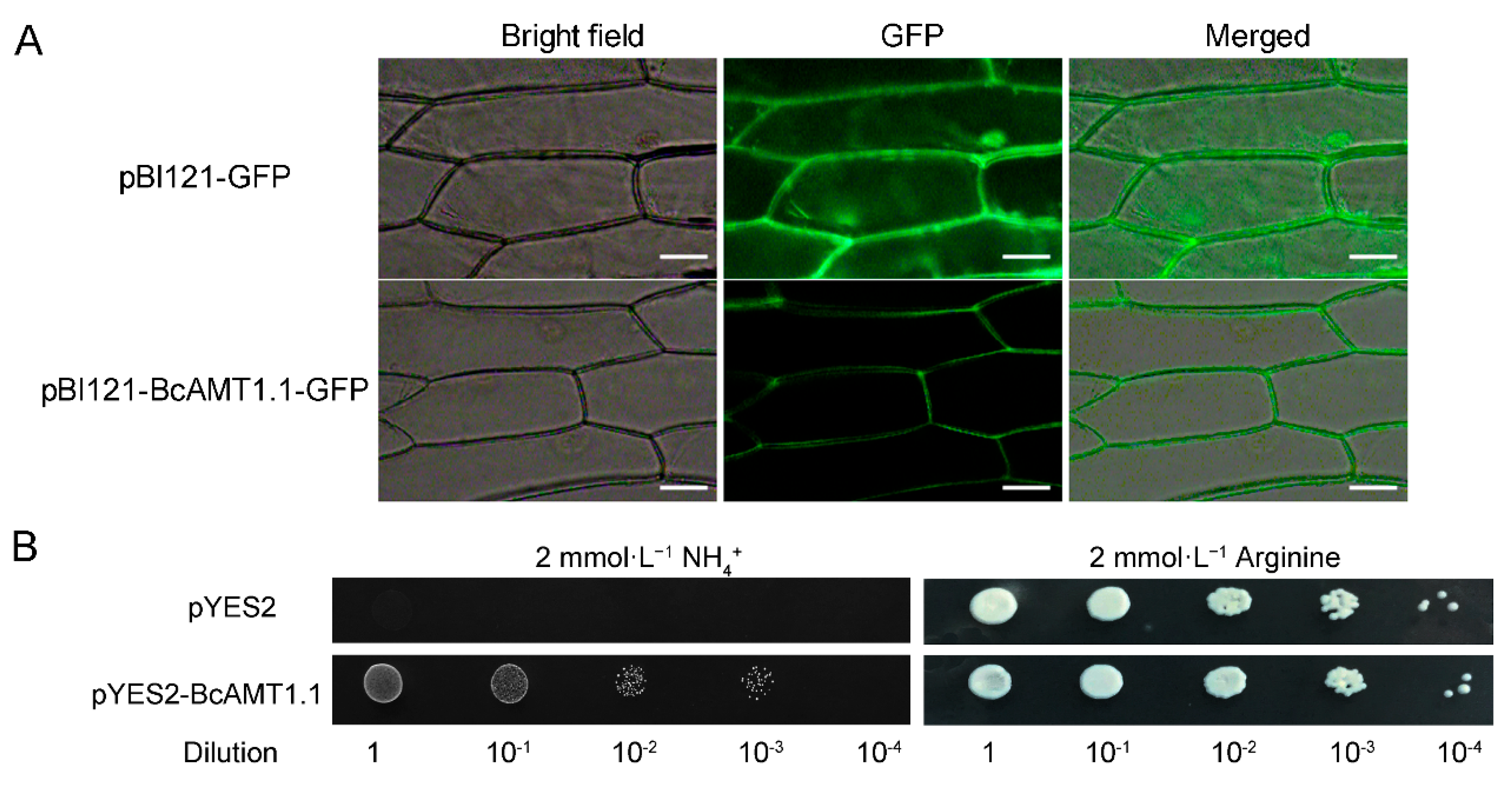 Preprints 184987 g008