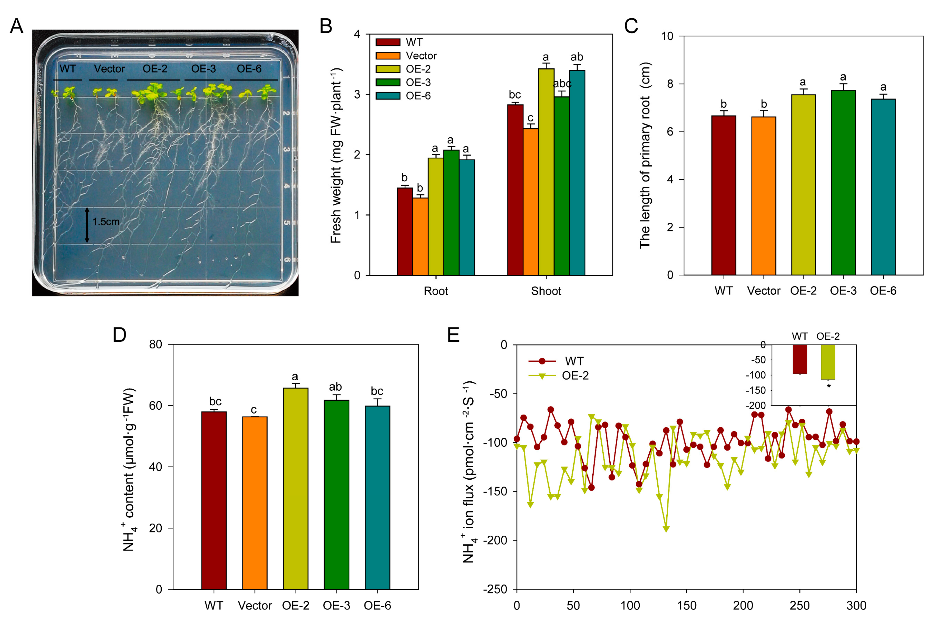 Preprints 184987 g009