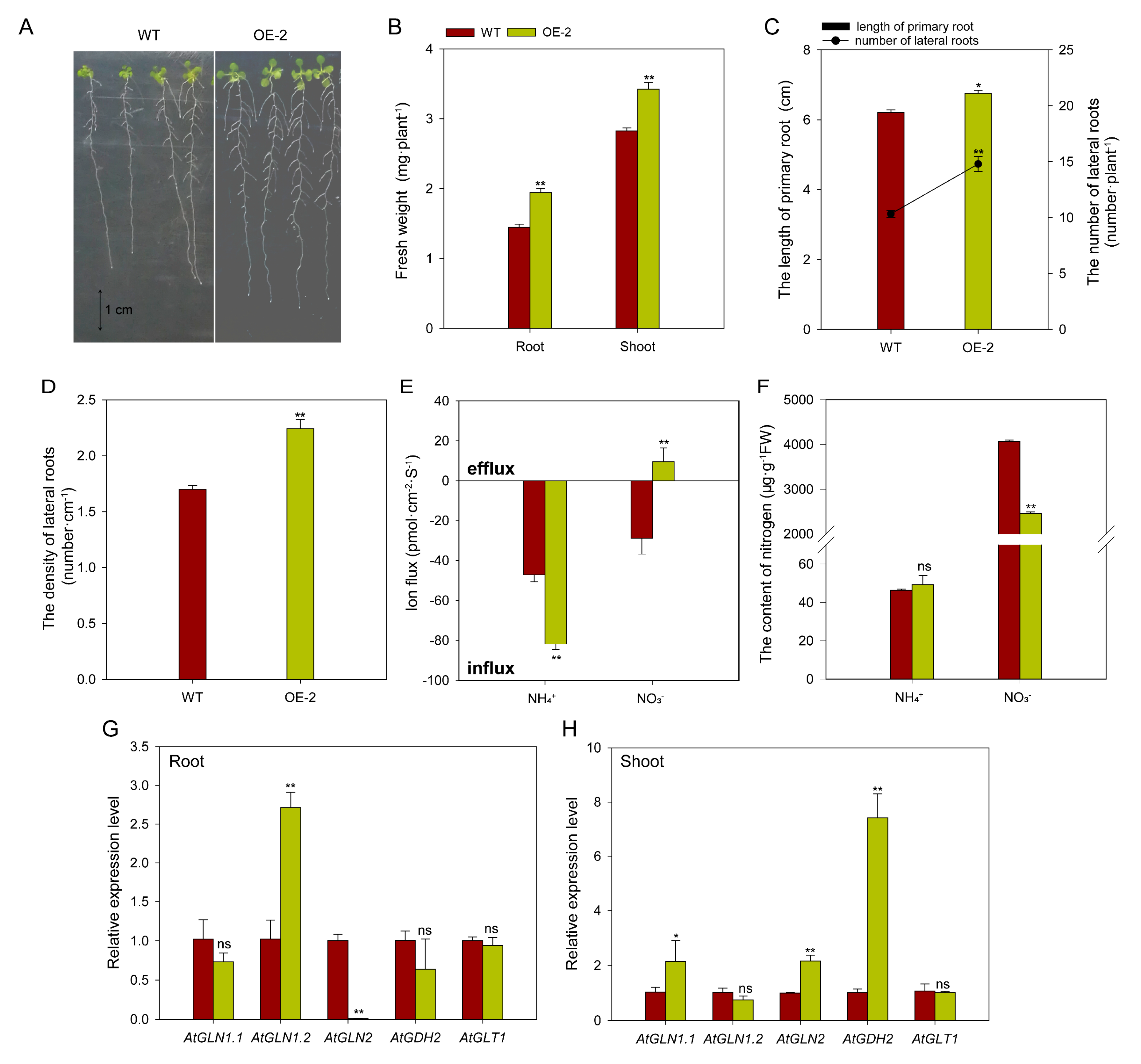 Preprints 184987 g010