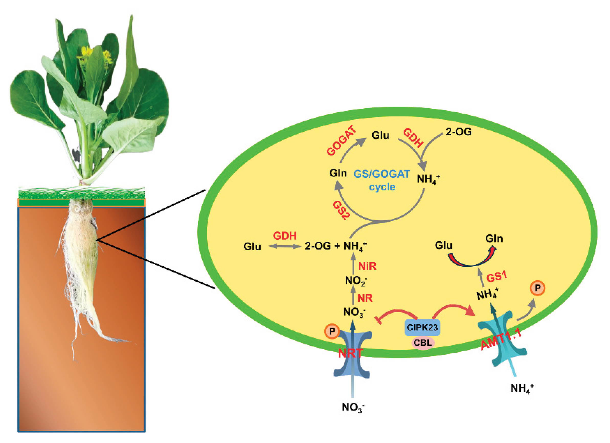 Preprints 184987 g012