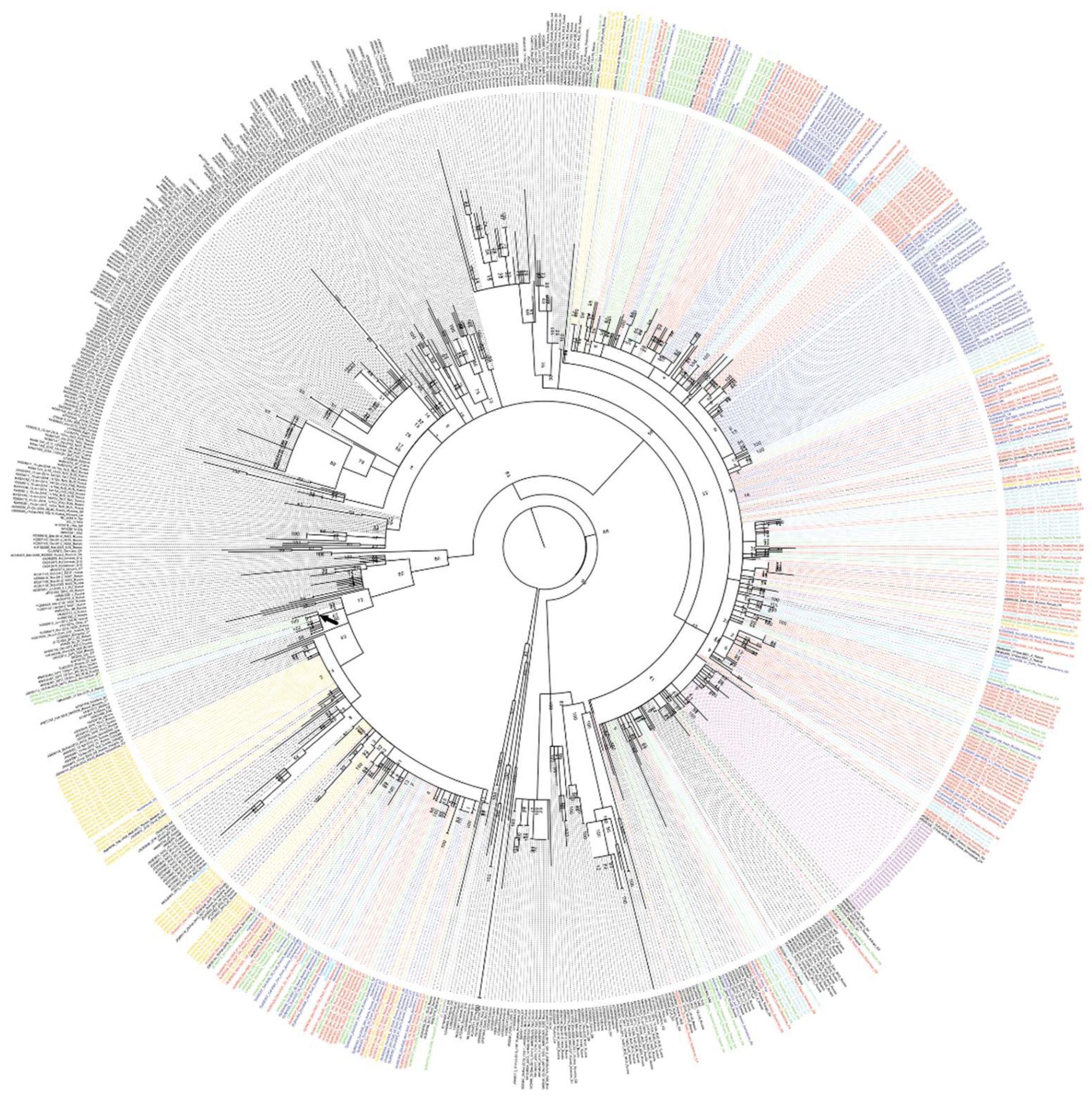 Preprints 176402 g003