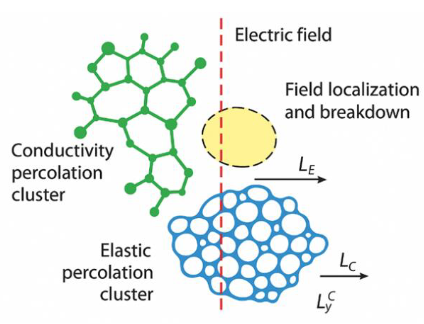 Preprints 174458 g019