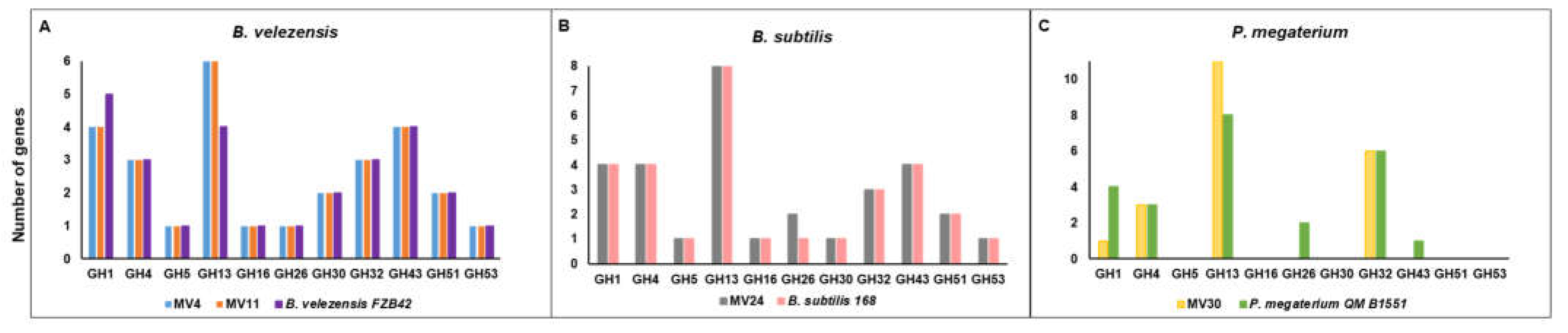 Preprints 76338 g002