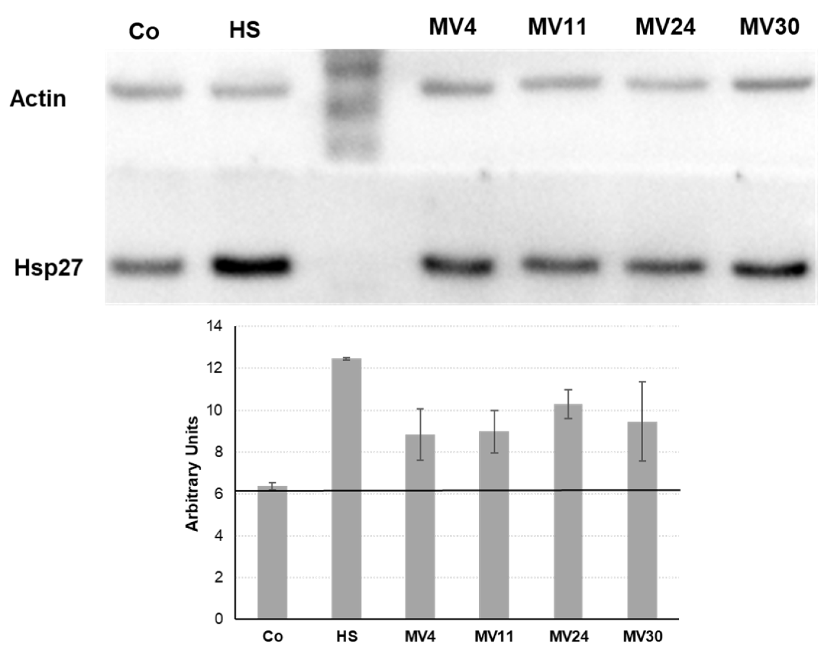 Preprints 76338 g005