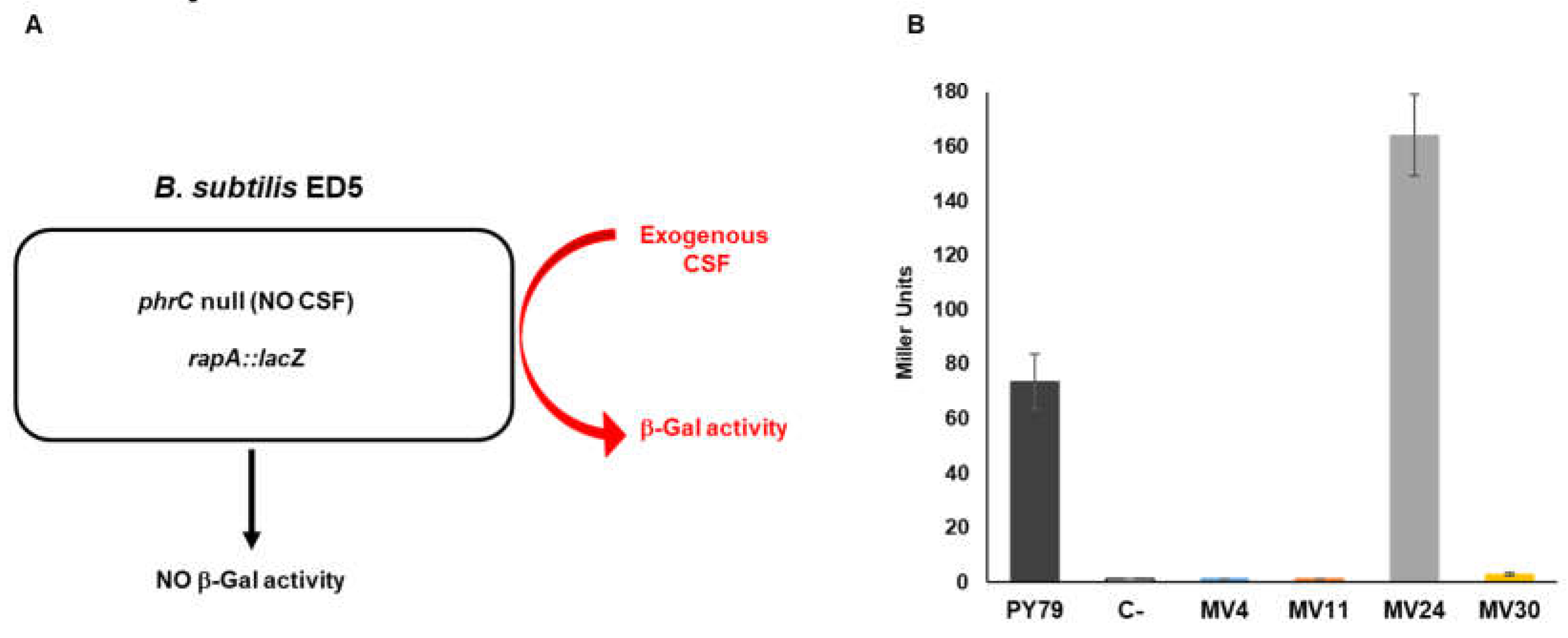 Preprints 76338 g006