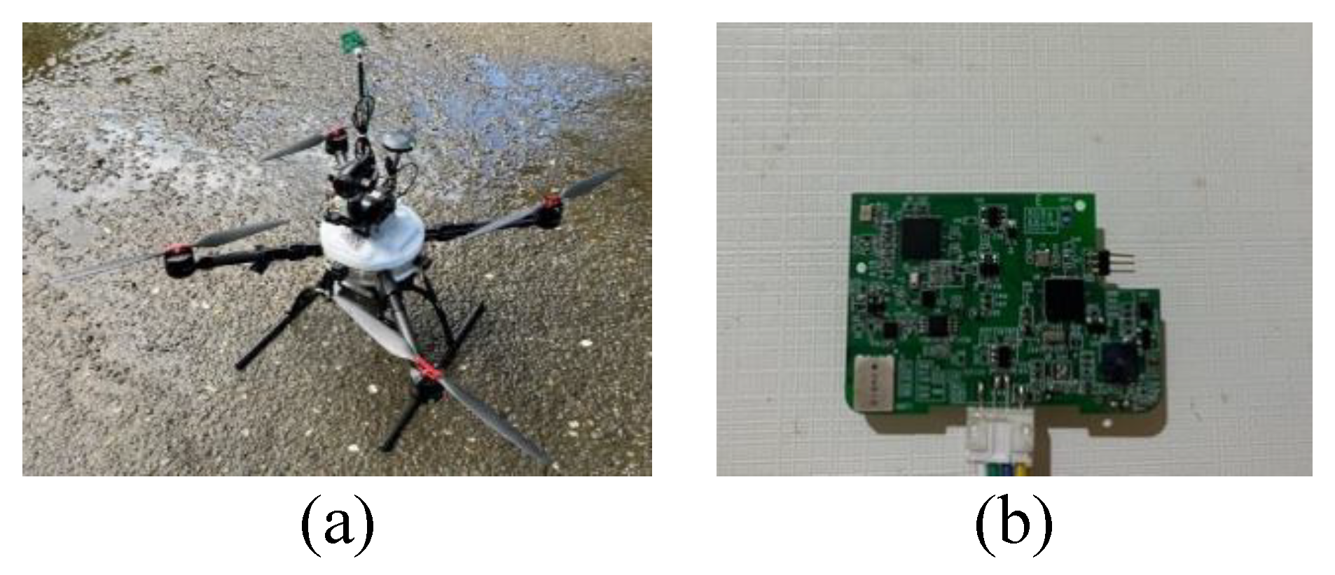 Preprints 175470 g010