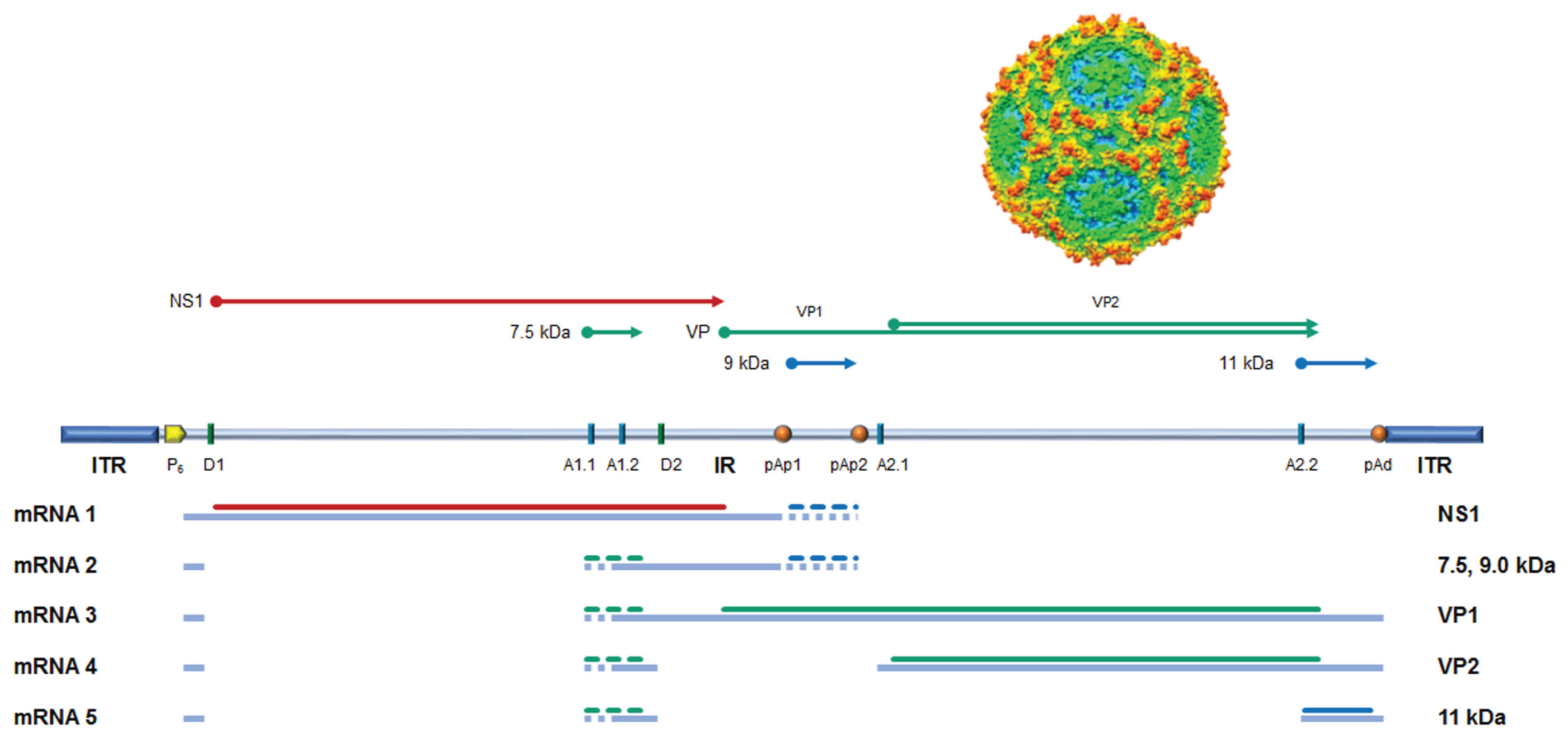 Preprints 224636 g001