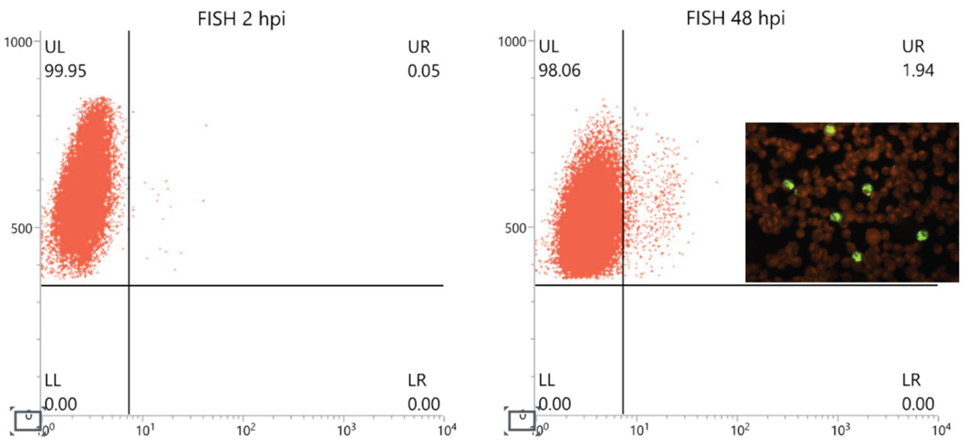 Preprints 224636 g002