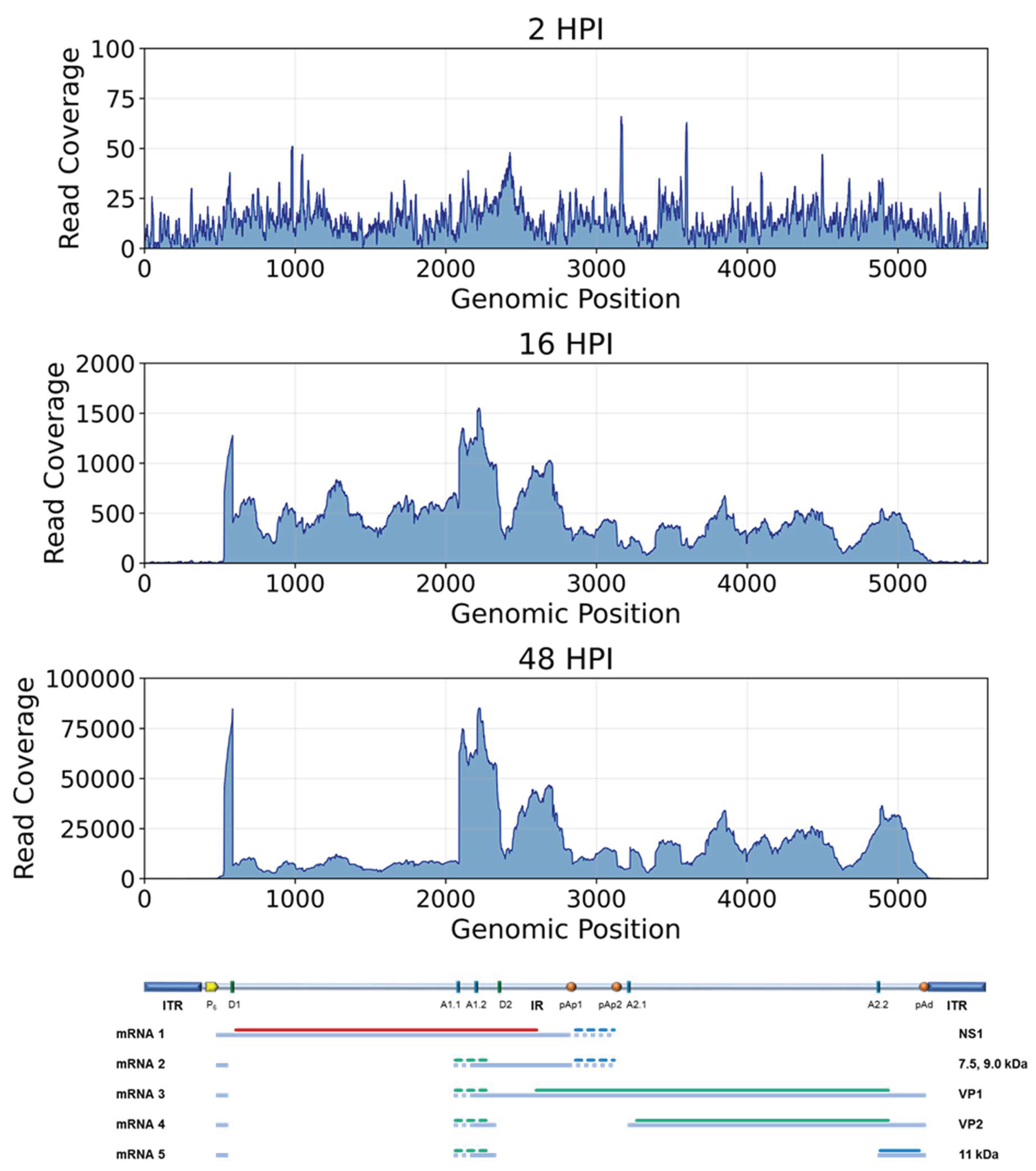 Preprints 224636 g003