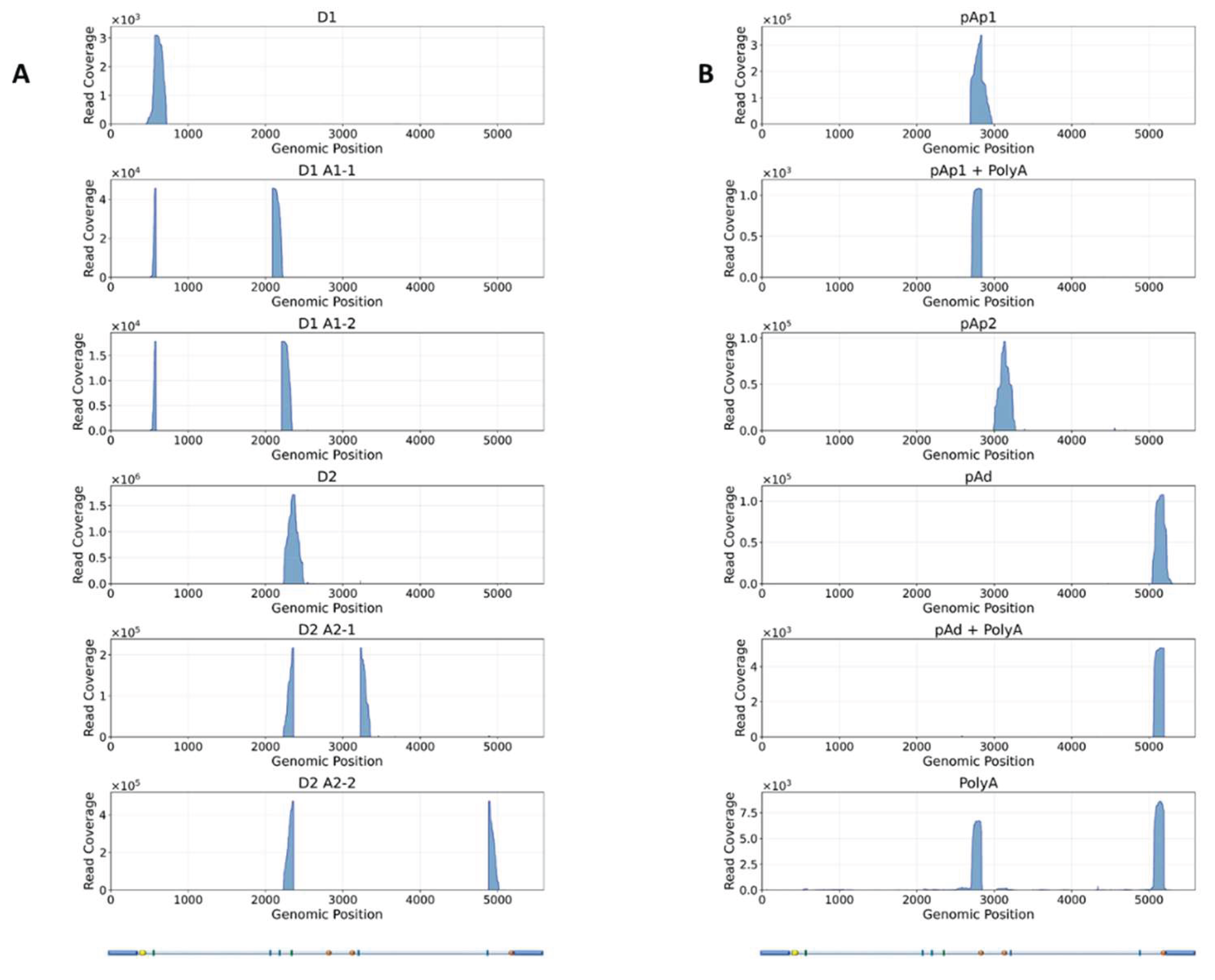 Preprints 224636 g004