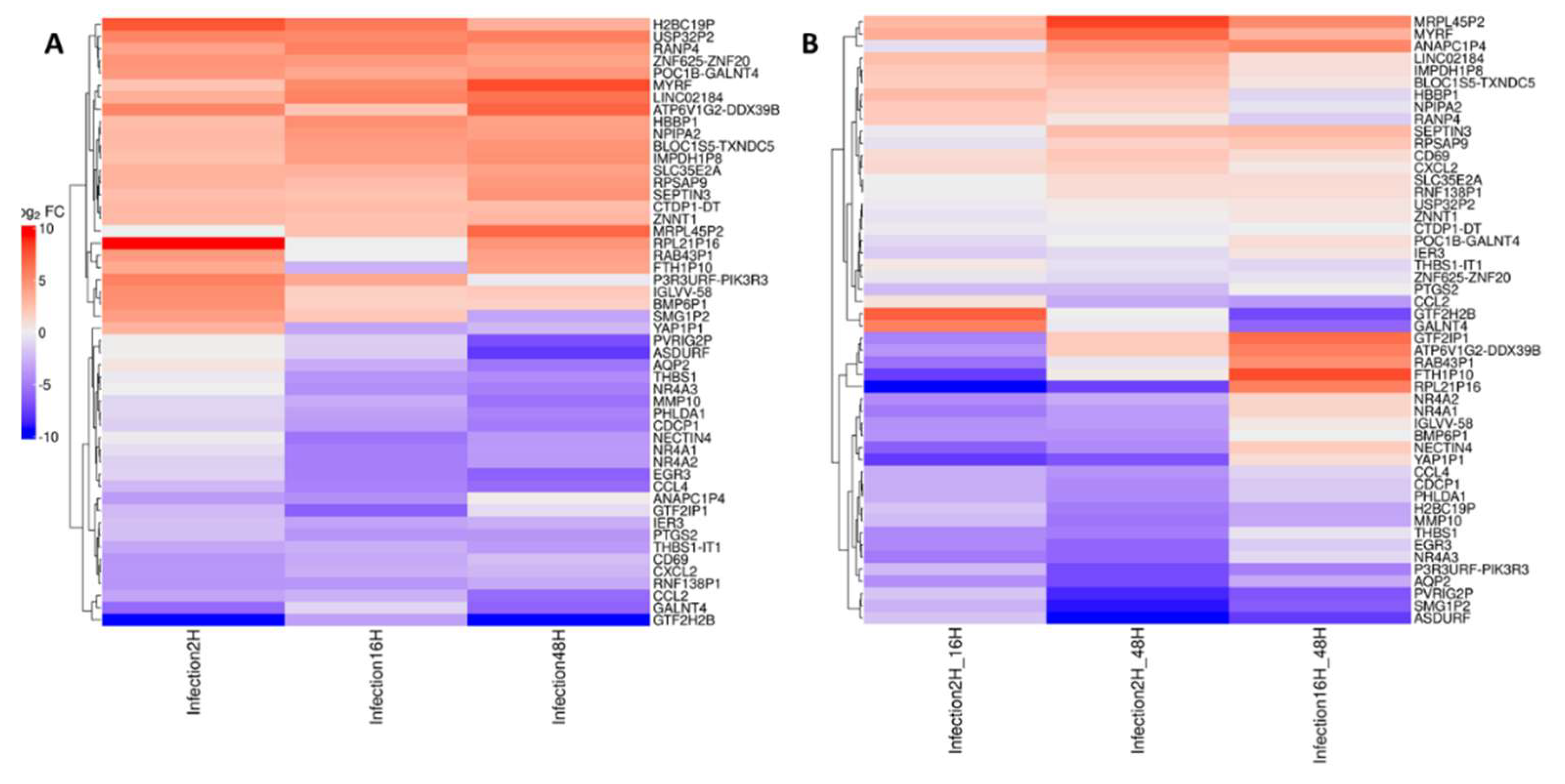 Preprints 224636 g009