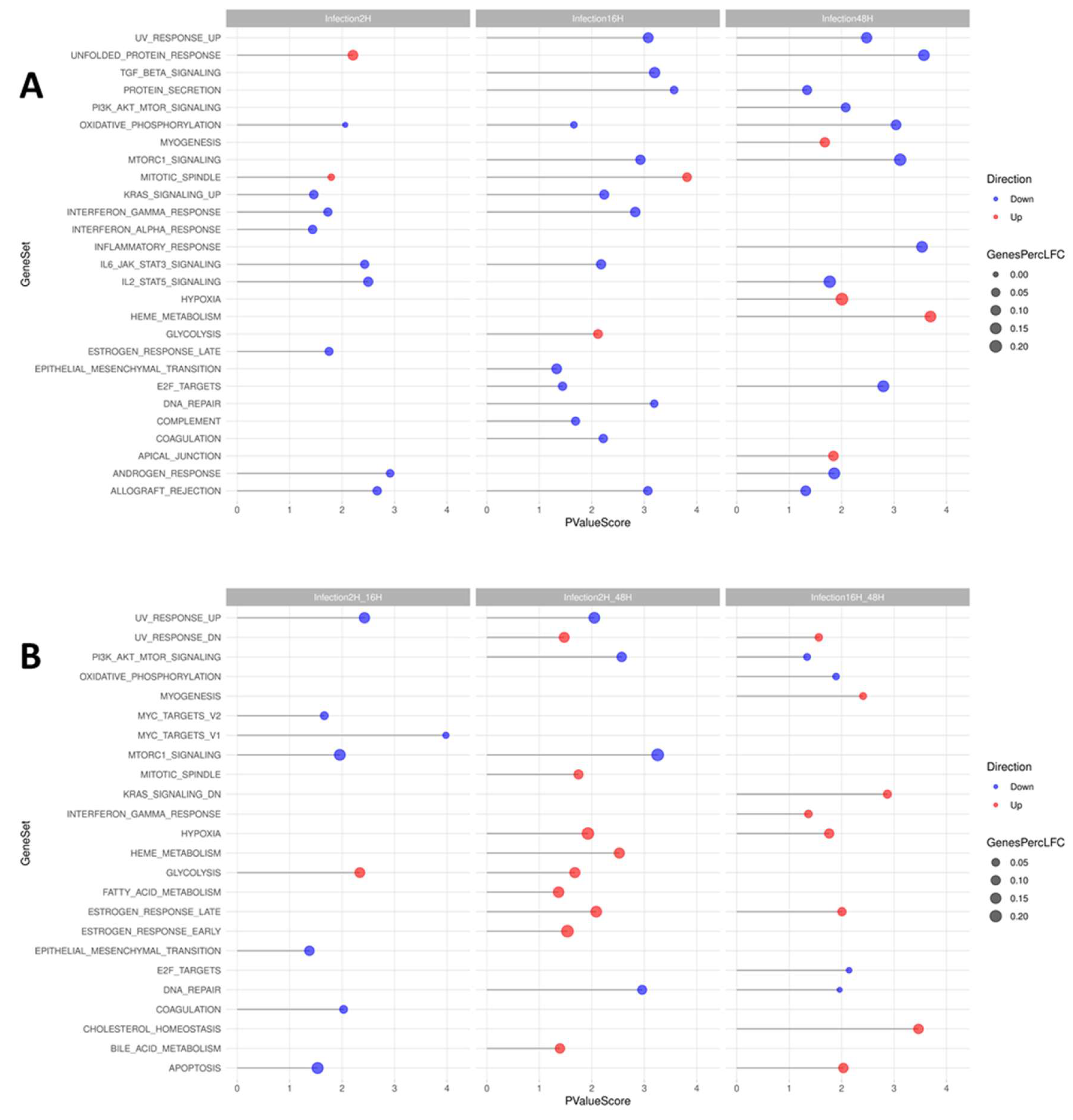 Preprints 224636 g010
