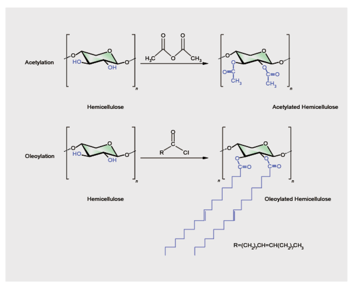 Preprints 108588 g003