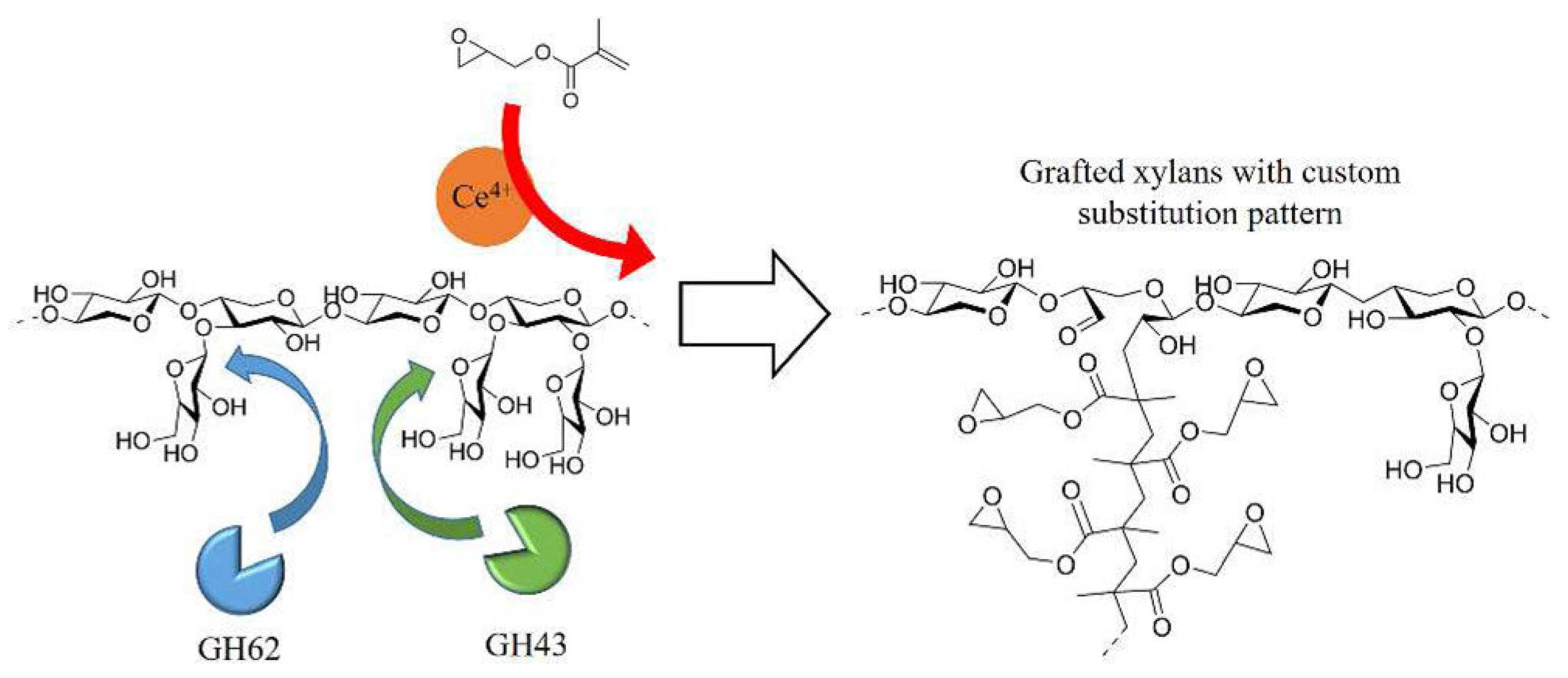 Preprints 108588 g004