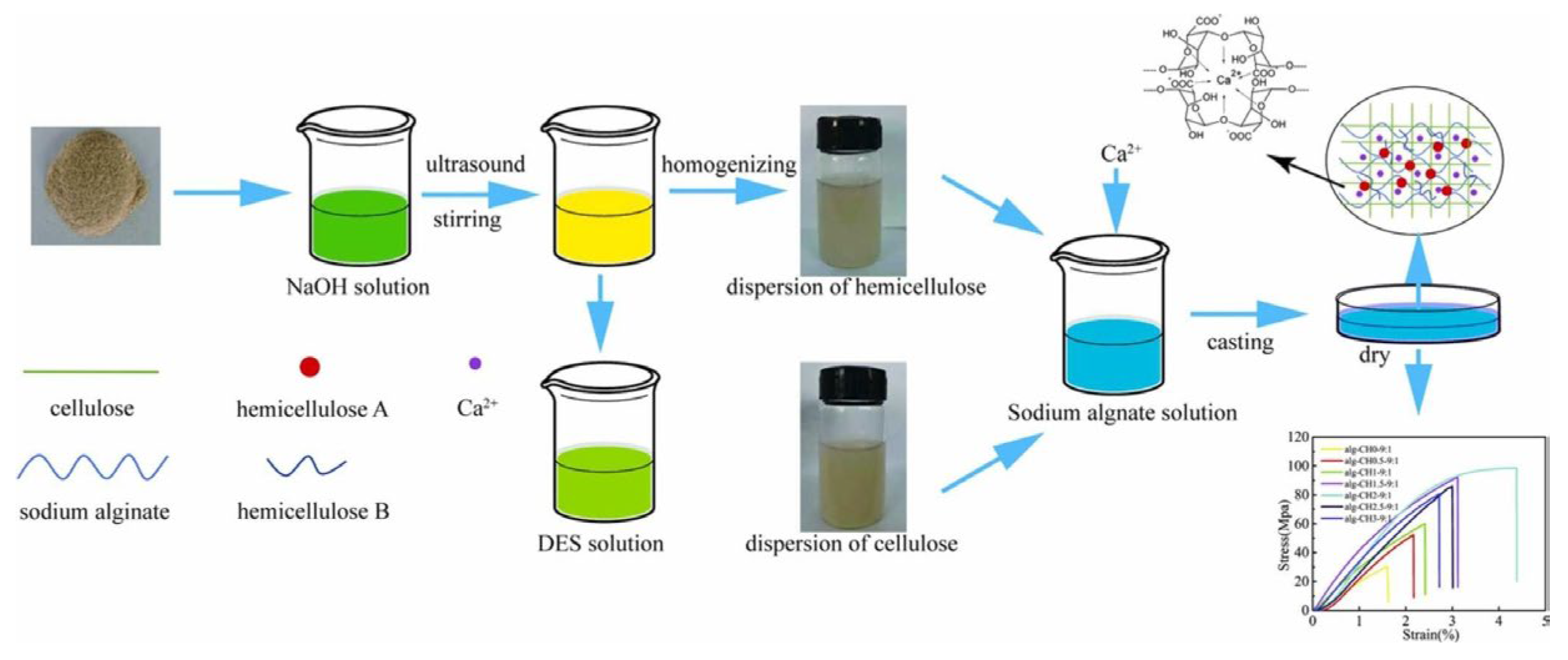 Preprints 108588 g005