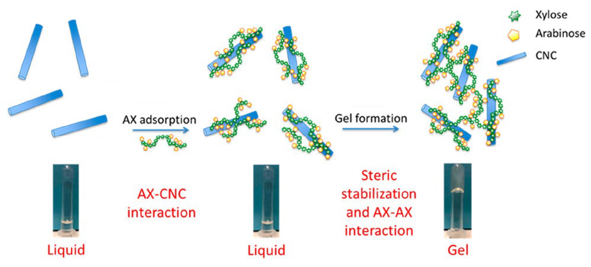 Preprints 108588 g006