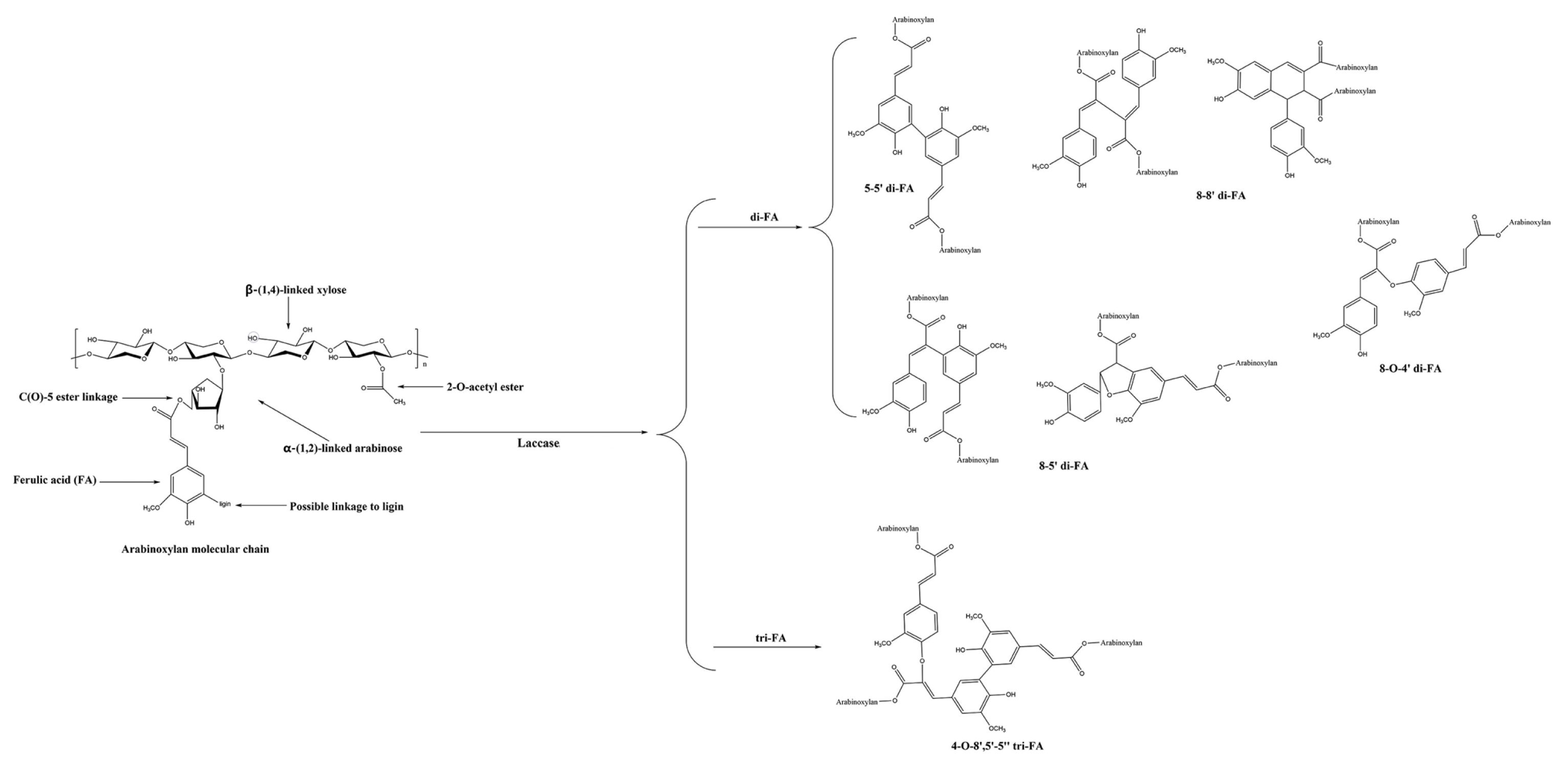 Preprints 108588 g008