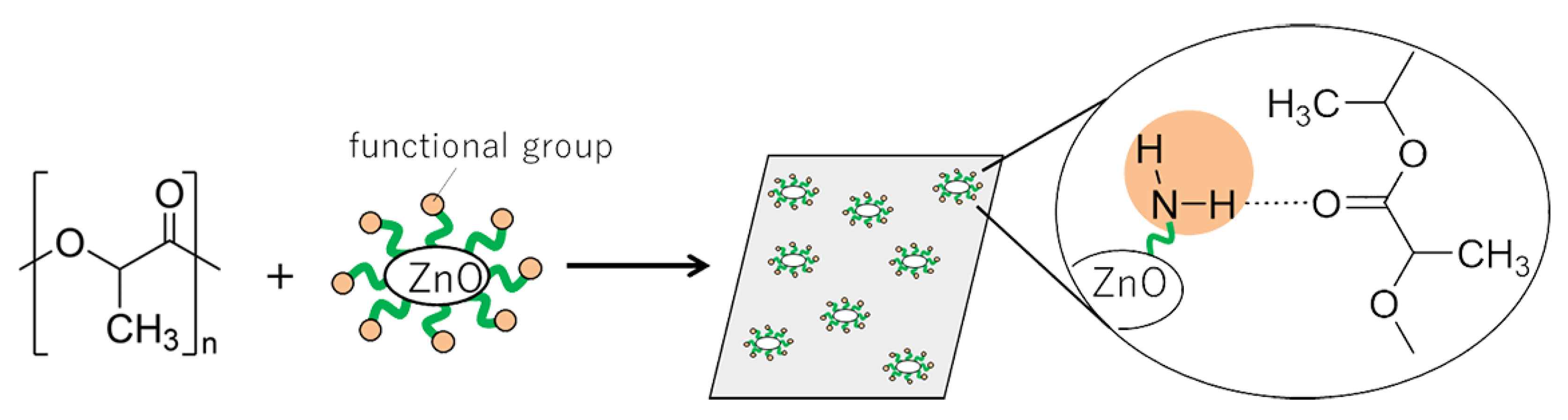 Preprints 161726 g001