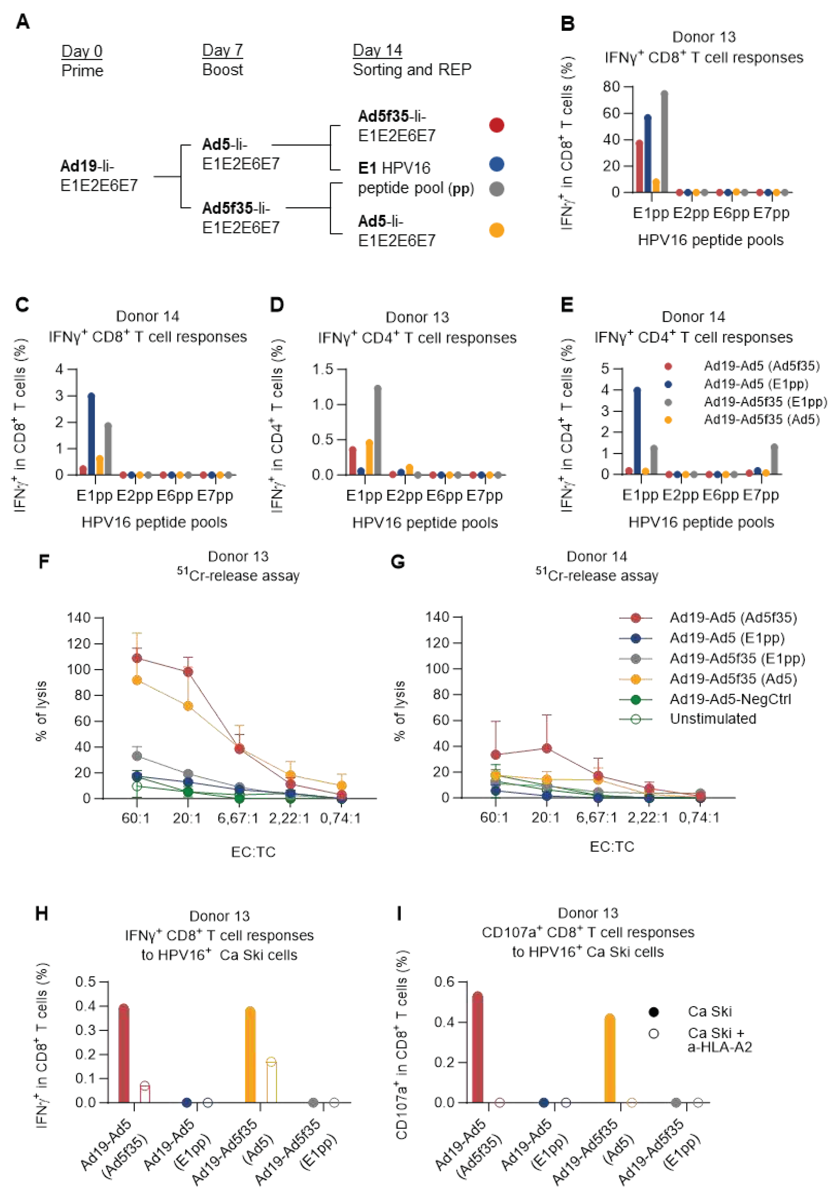 Preprints 89518 g006