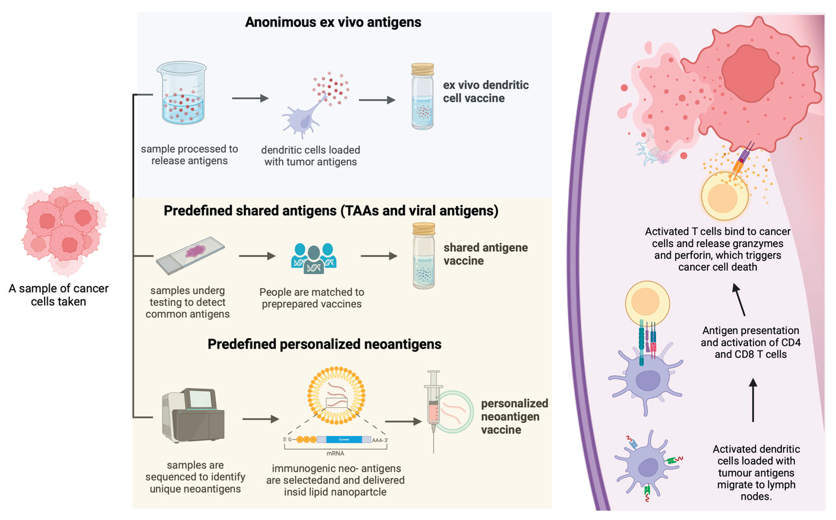 Preprints 209369 g001