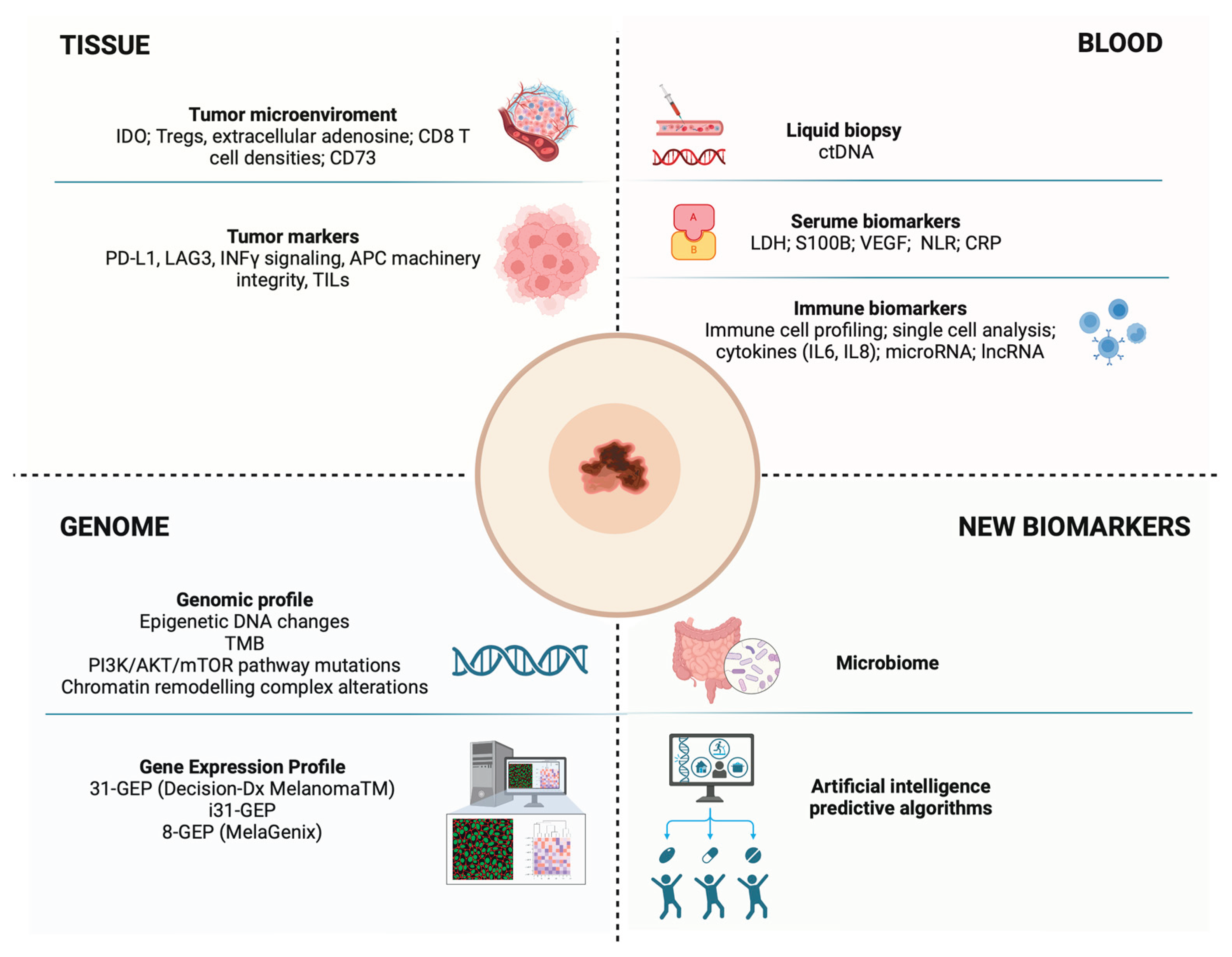 Preprints 209369 g002