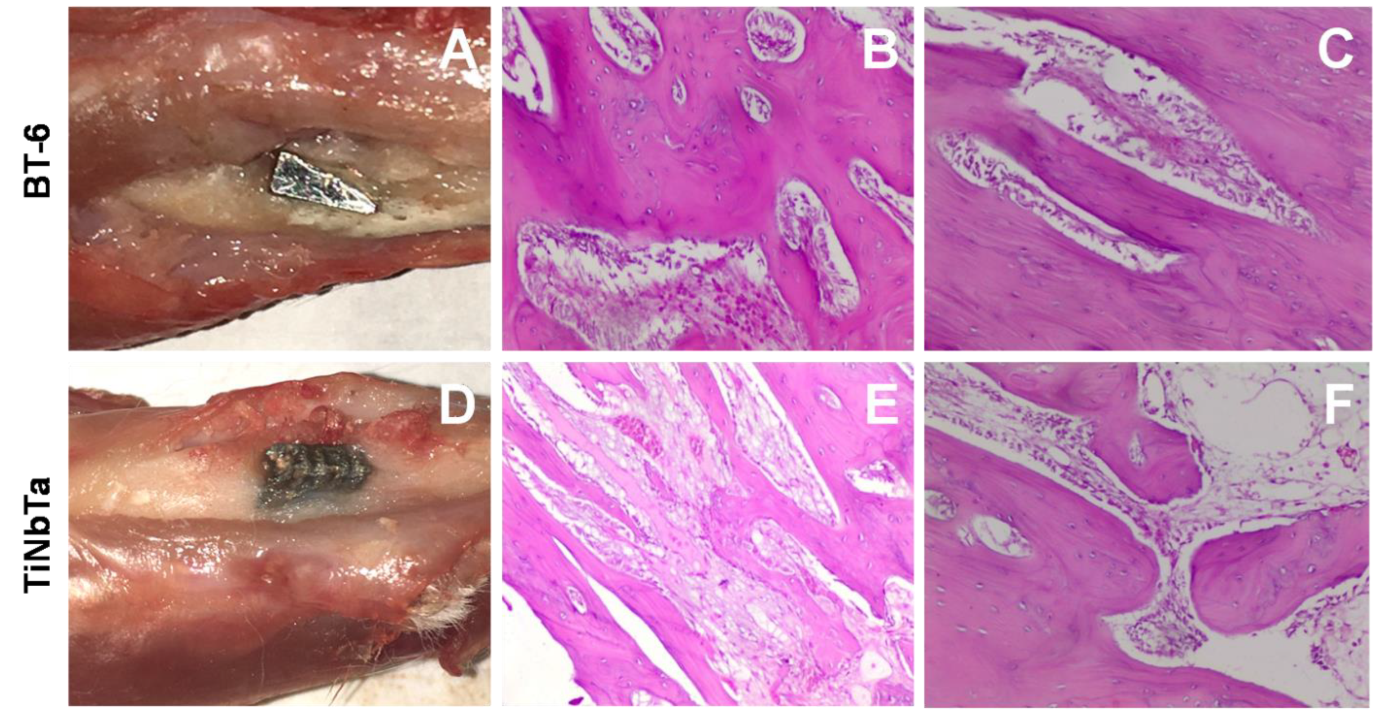 Preprints 105039 g005