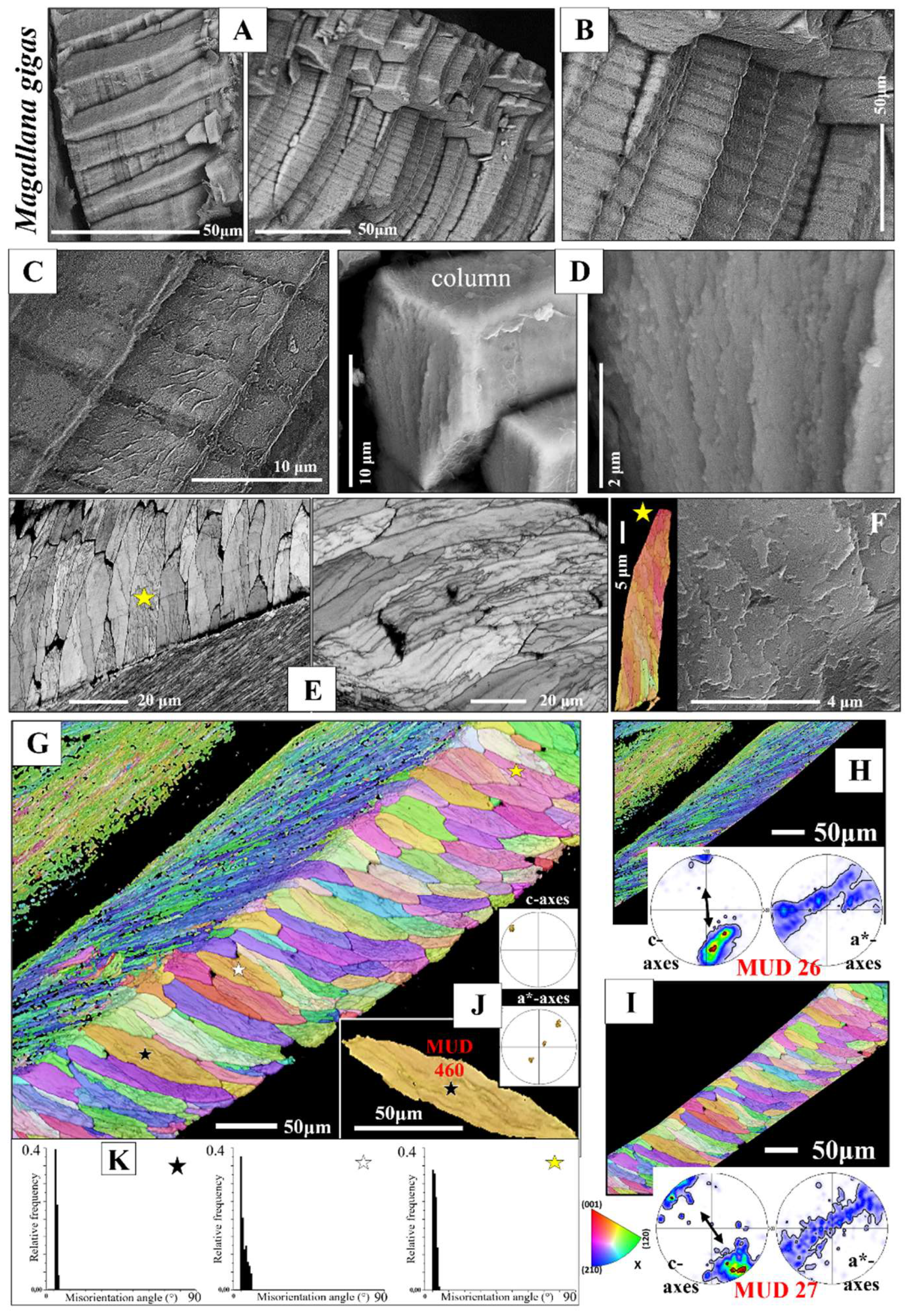 Preprints 148032 g003