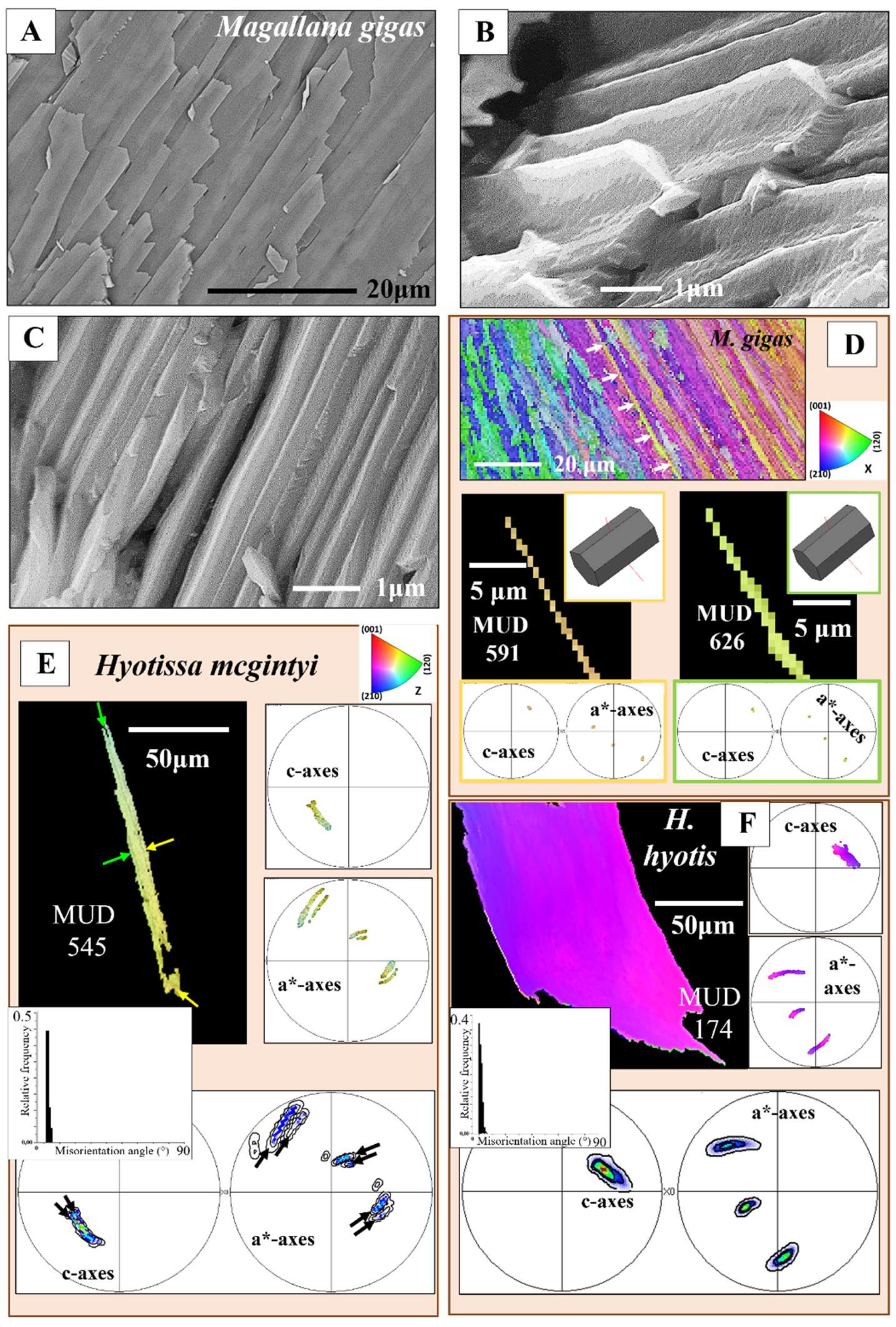 Preprints 148032 g004