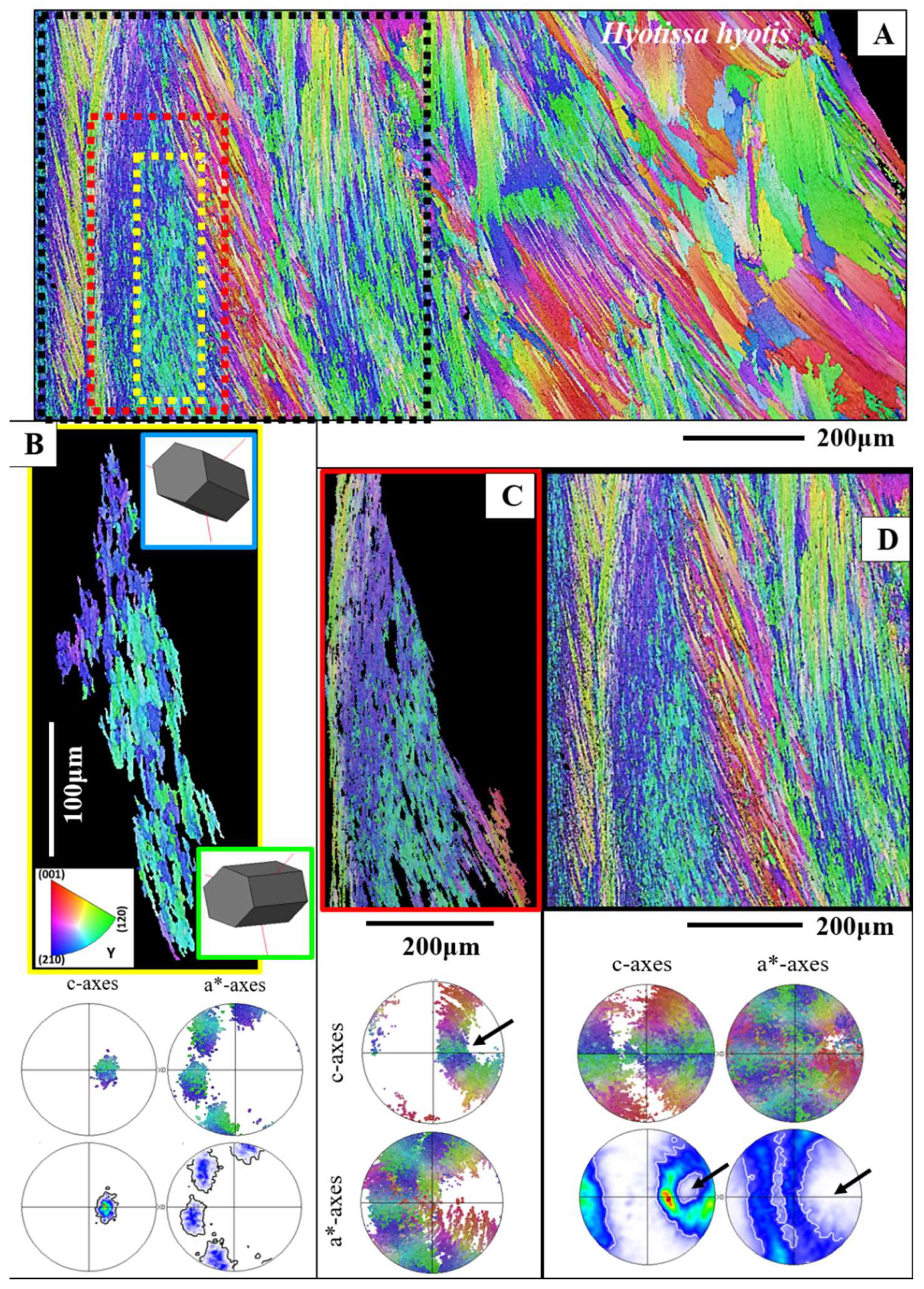 Preprints 148032 g006