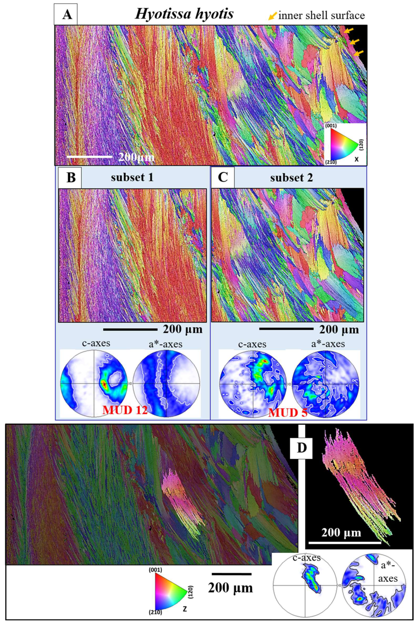 Preprints 148032 g007