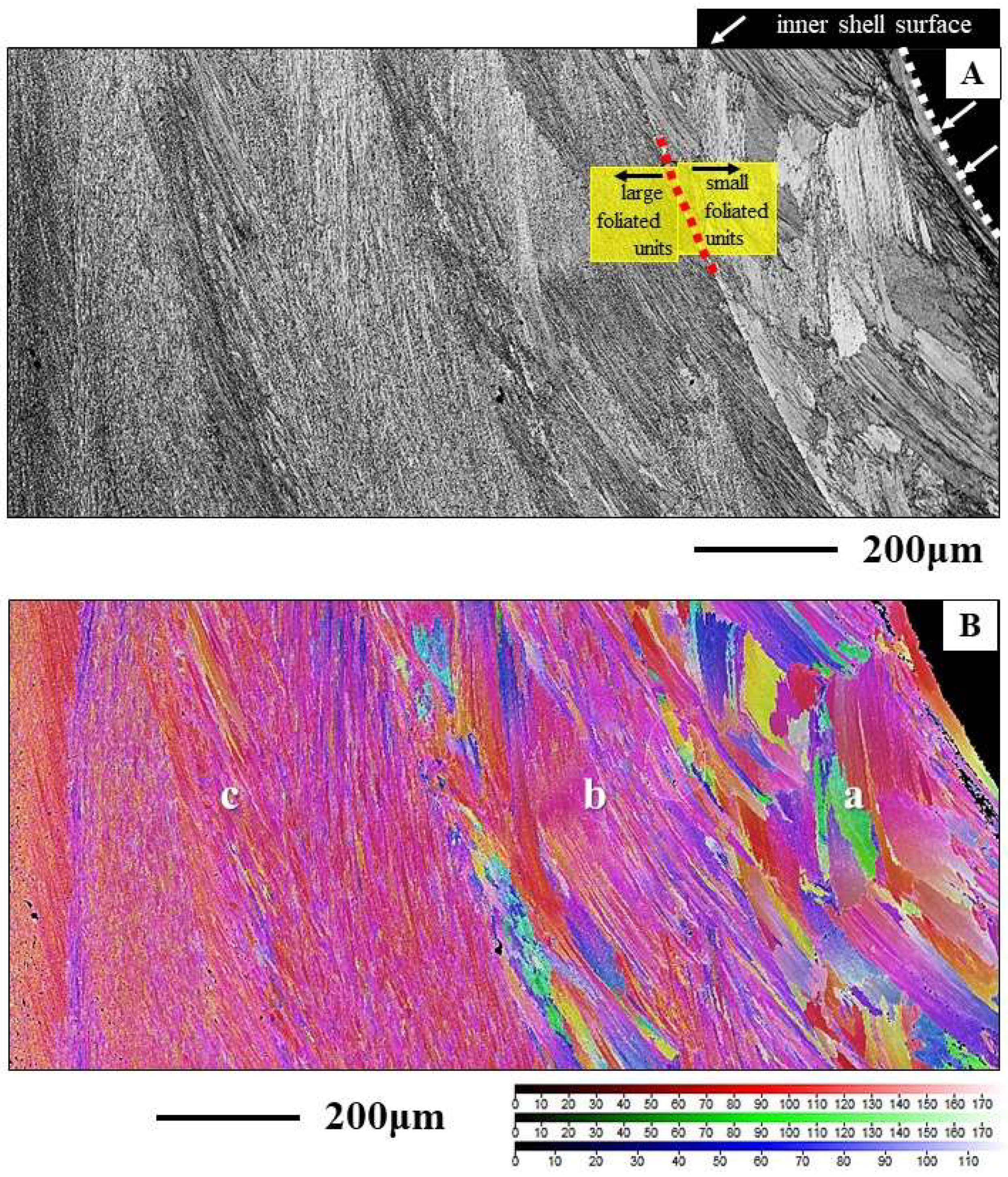 Preprints 148032 g008