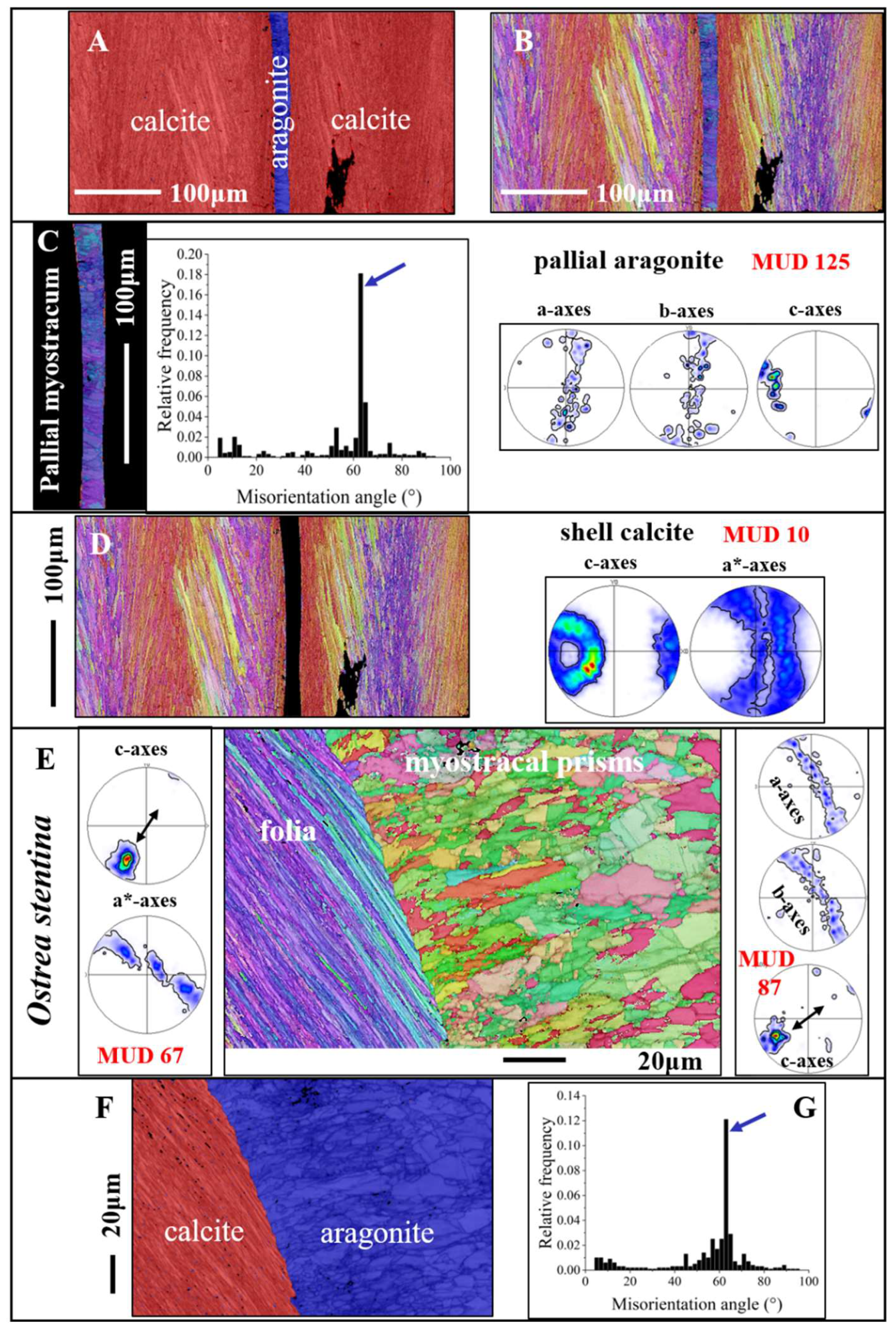 Preprints 148032 g009