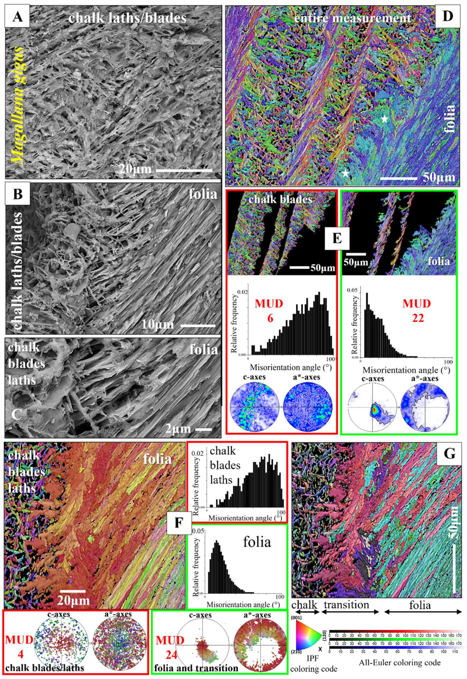 Preprints 148032 g010