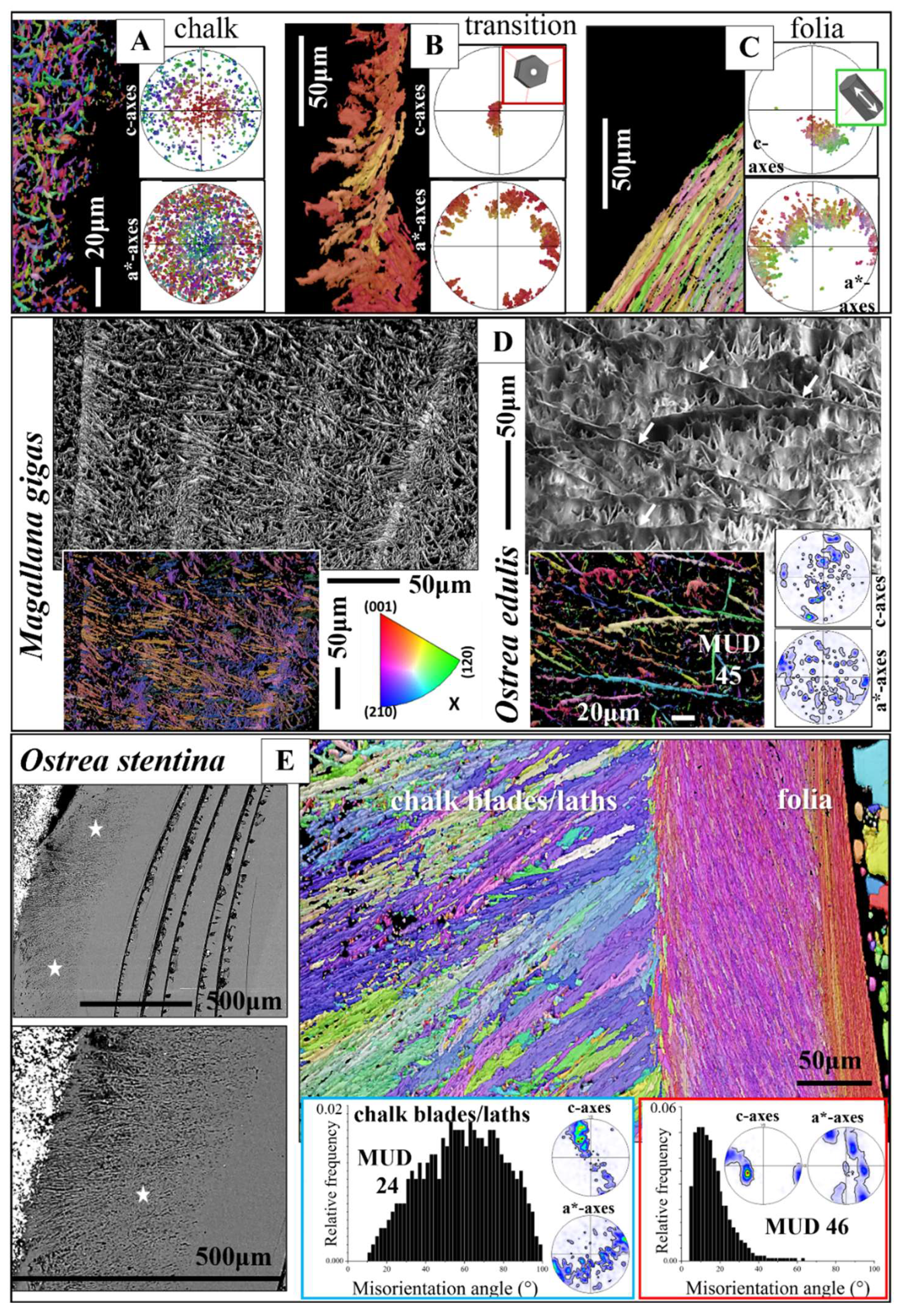 Preprints 148032 g011