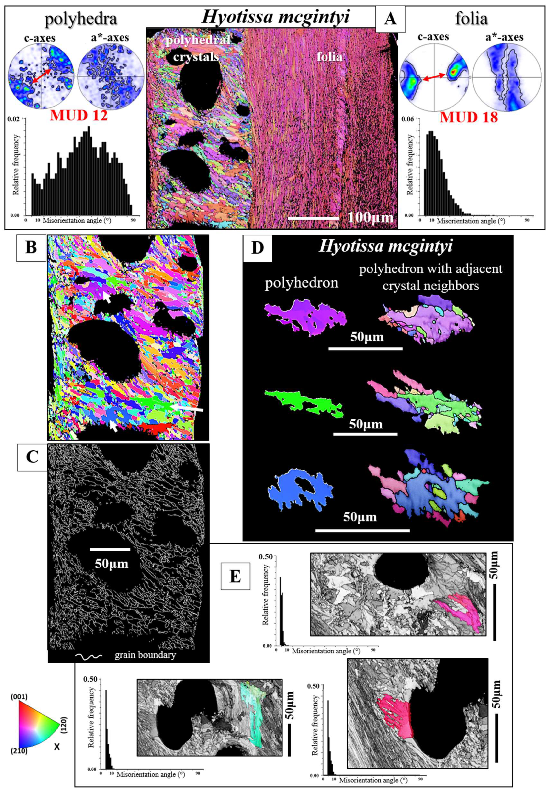 Preprints 148032 g012