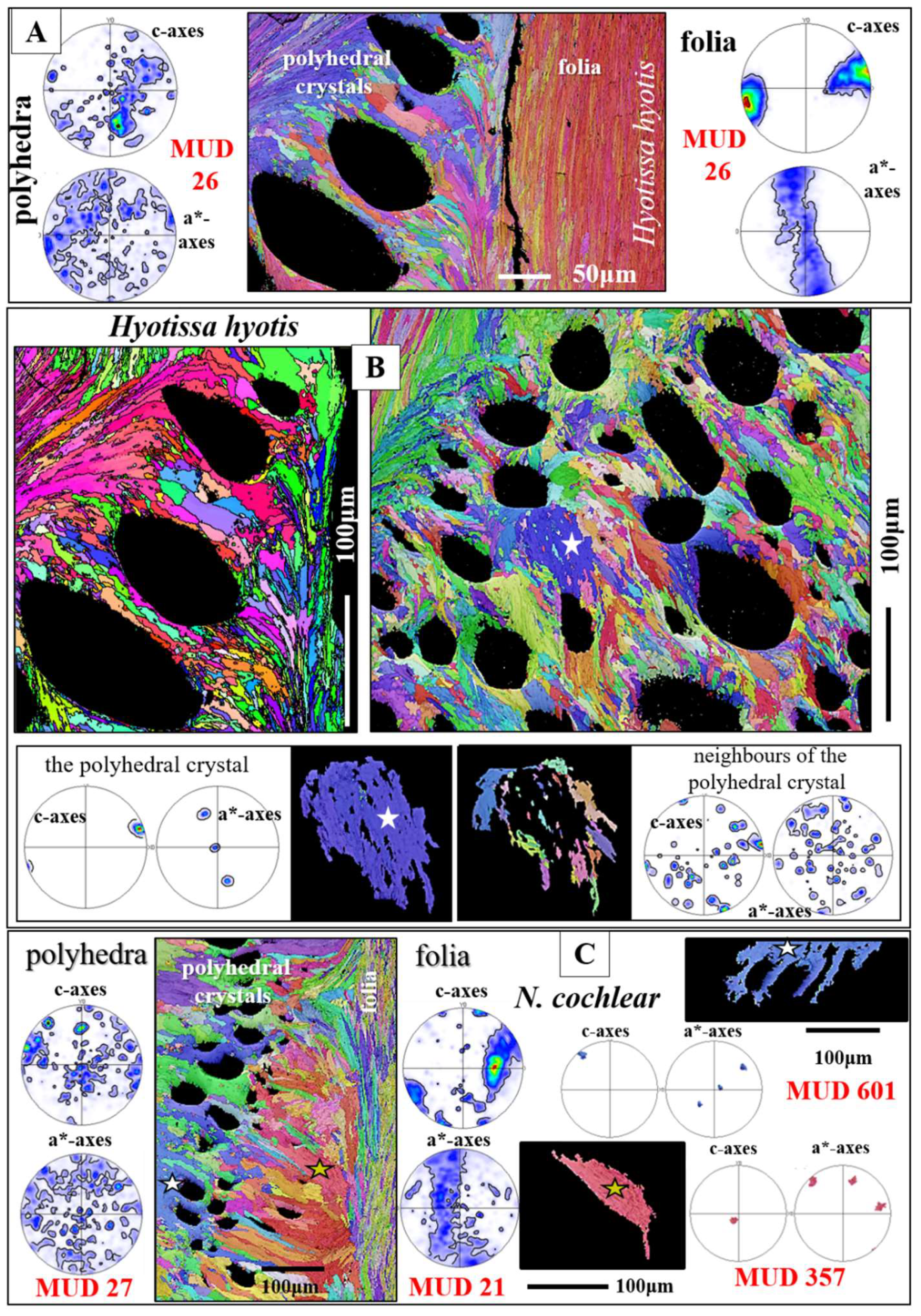 Preprints 148032 g013