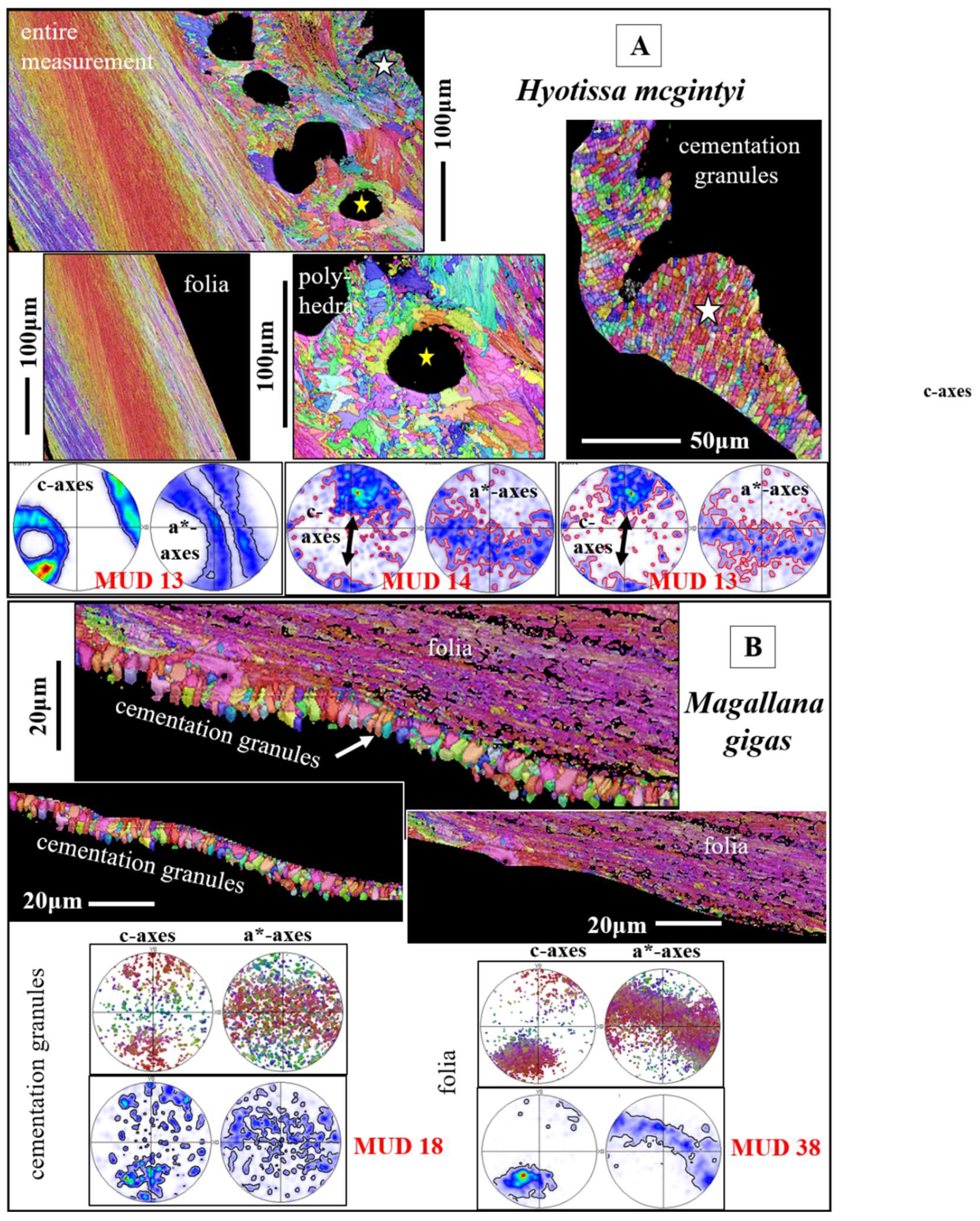 Preprints 148032 g014