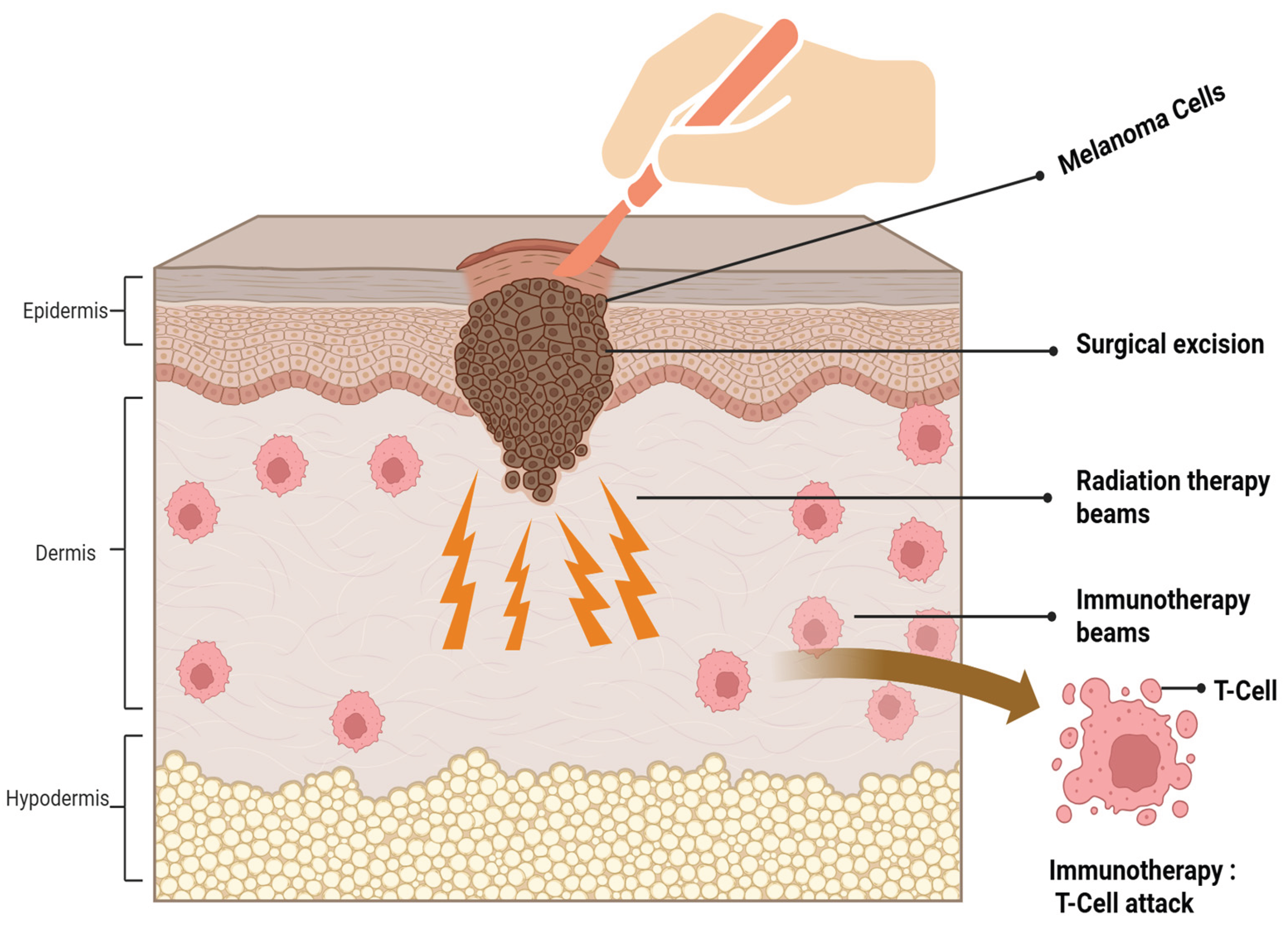 Preprints 189289 g002