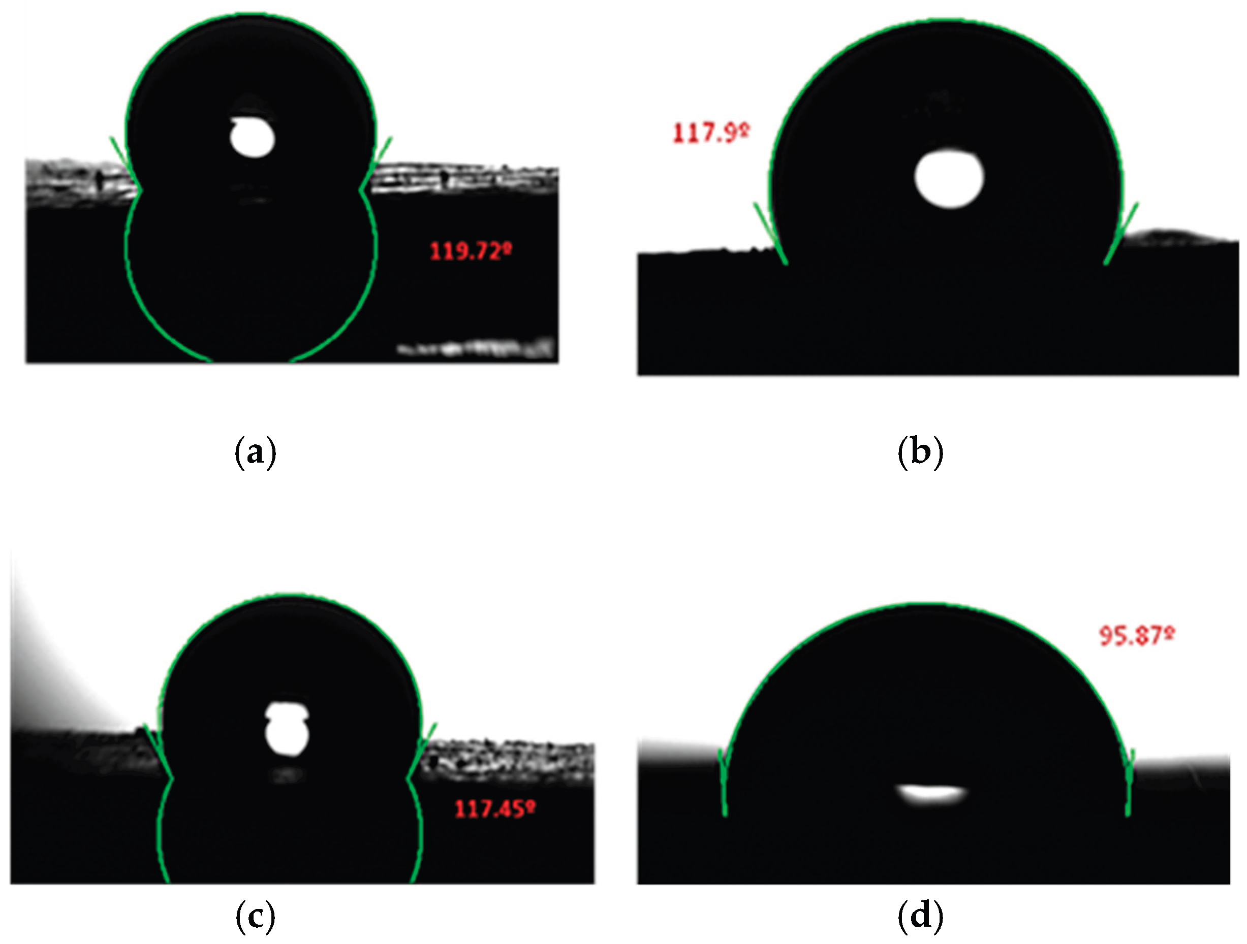 Preprints 203843 g007