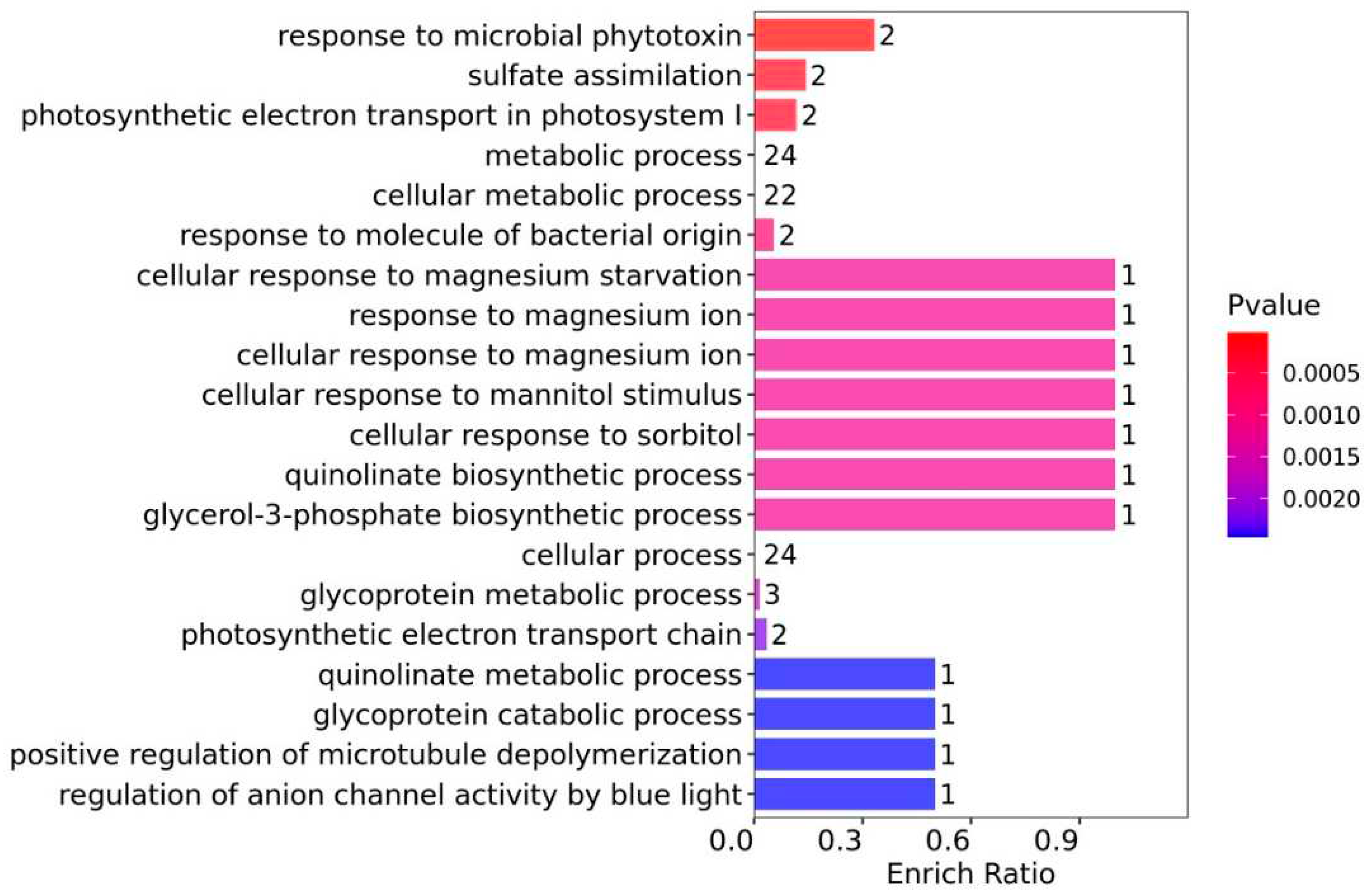 Preprints 91177 g004