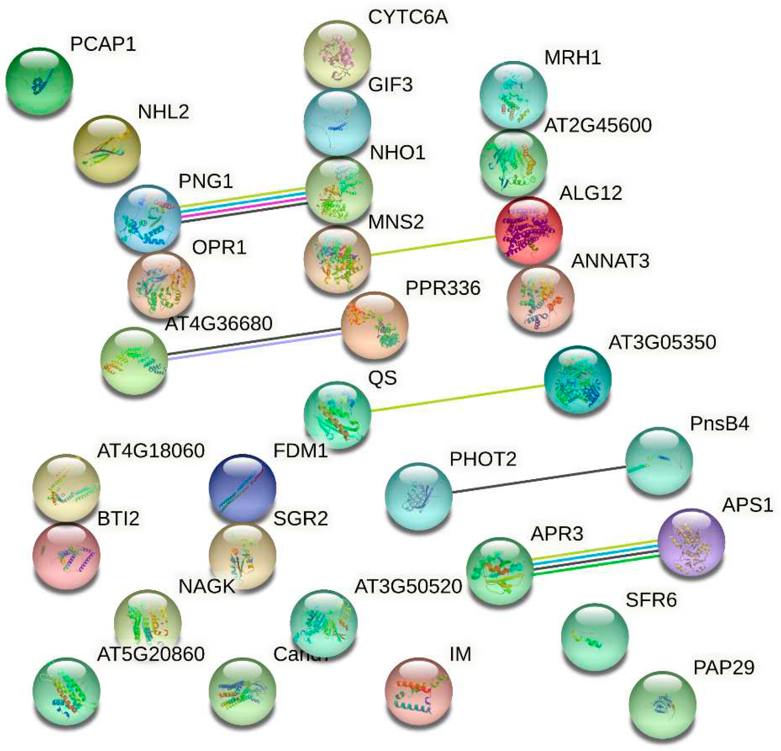 Preprints 91177 g008