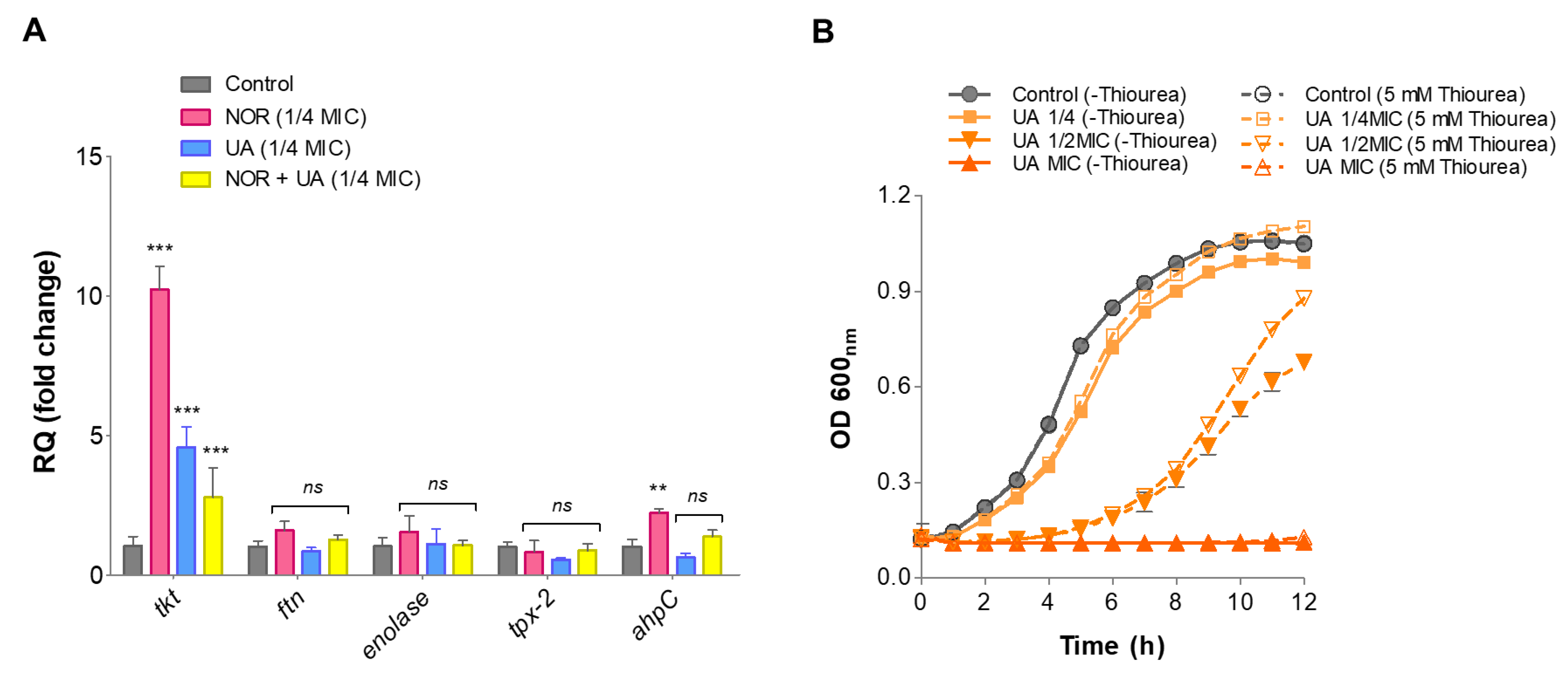 Preprints 113613 g006