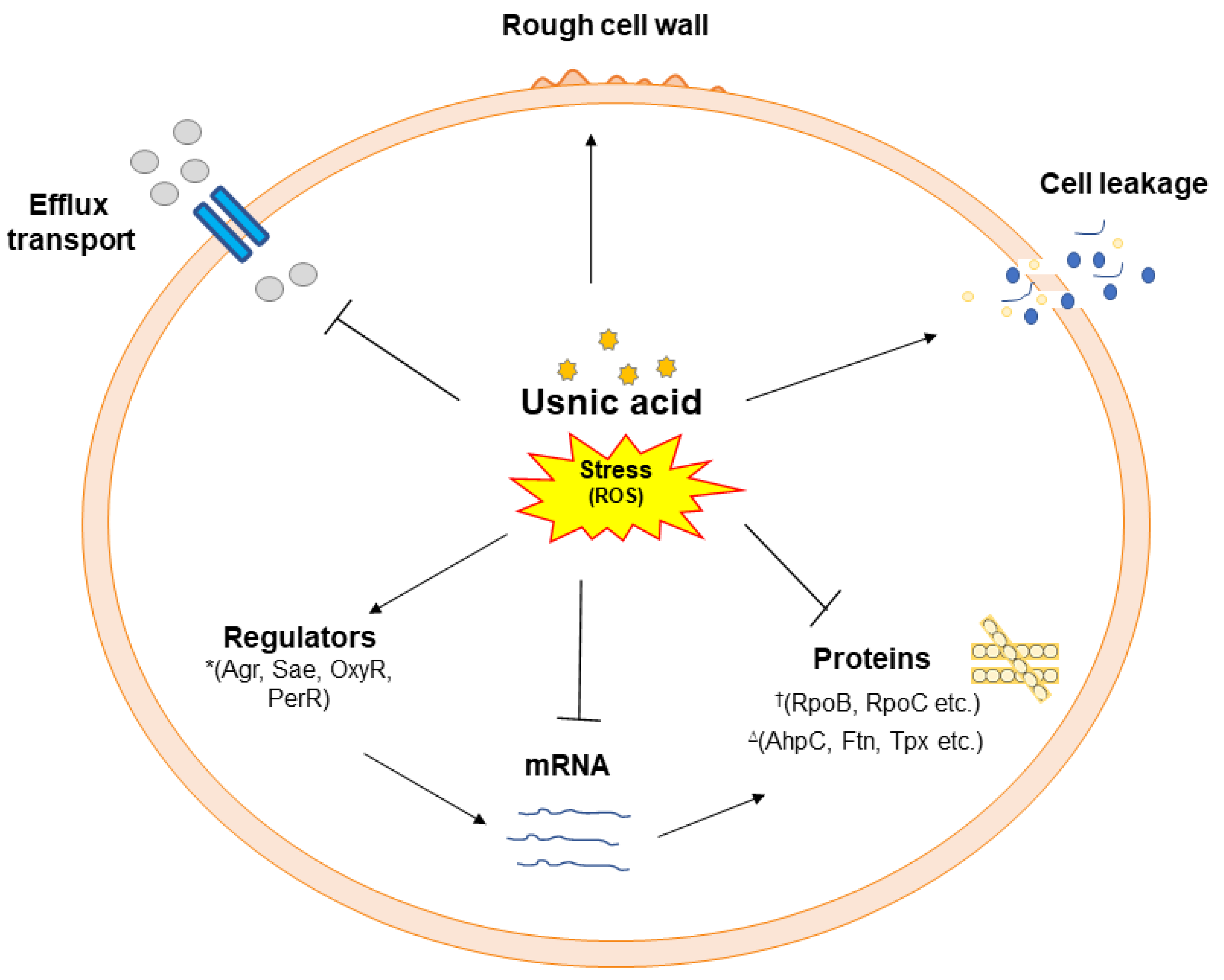 Preprints 113613 g007