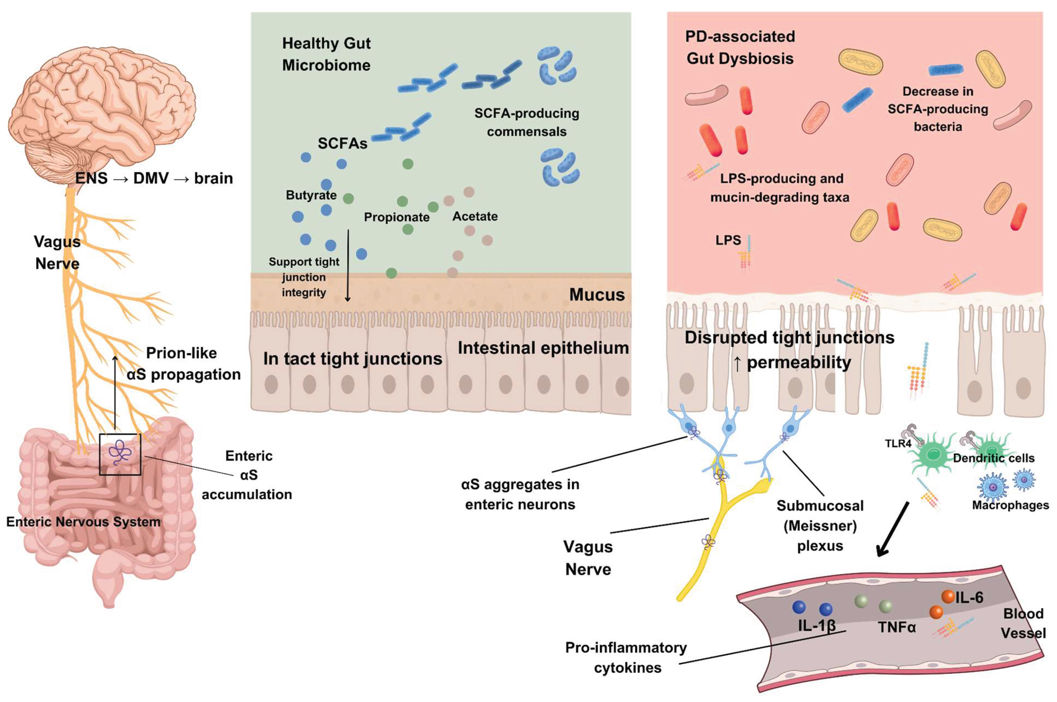 Preprints 193706 g001