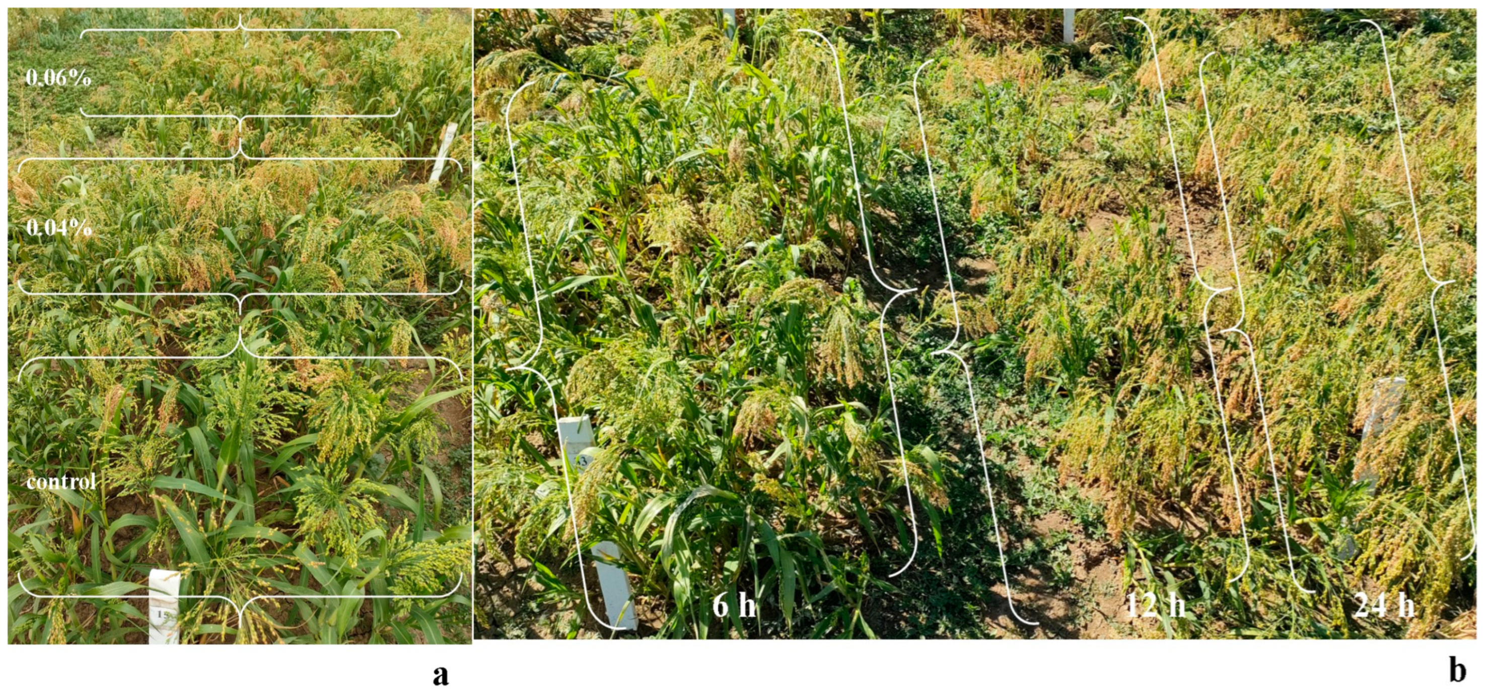 Preprints 89500 g002