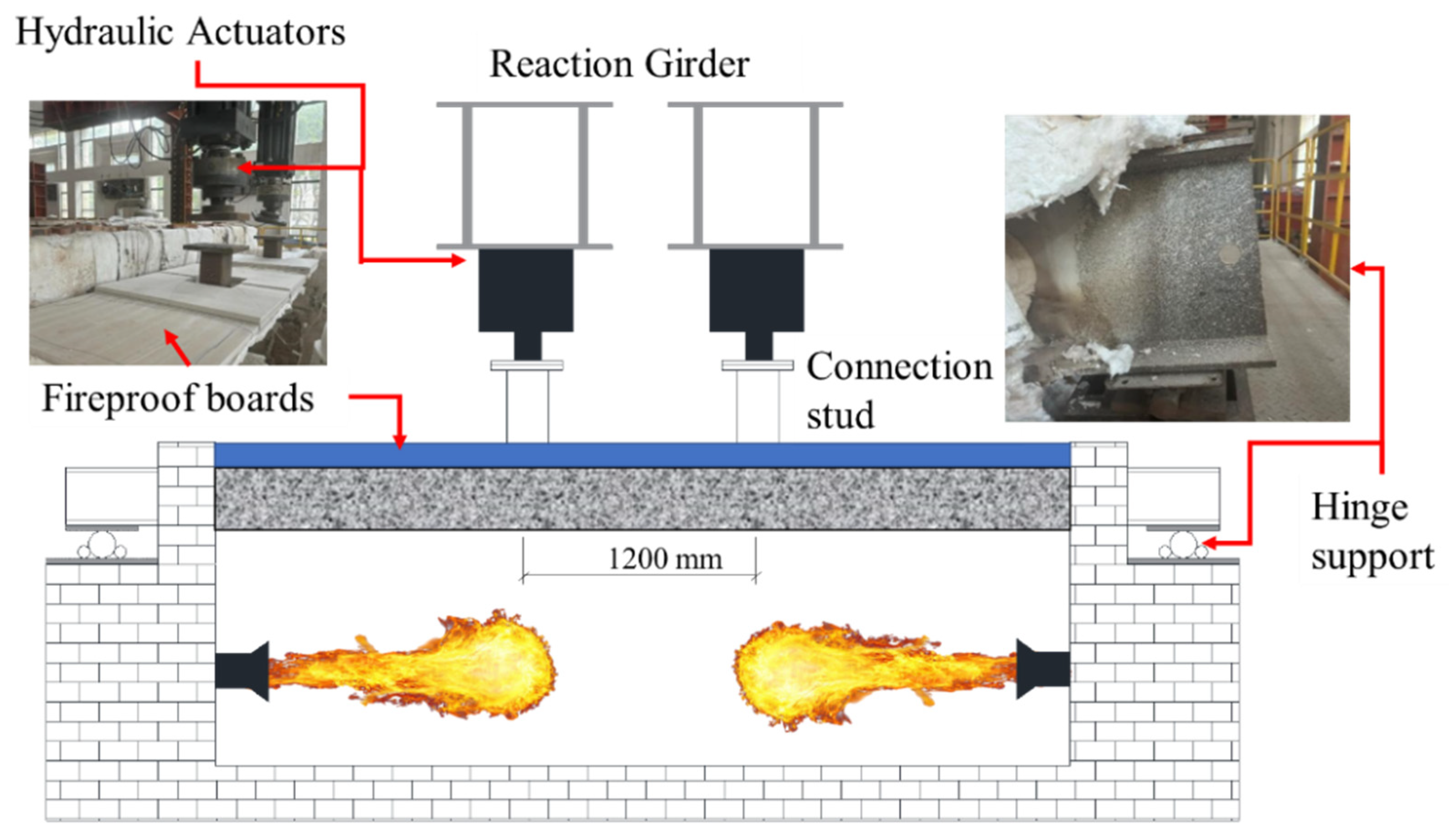 Preprints 160276 g005