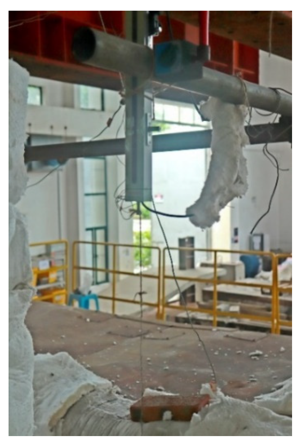 Preprints 160276 g007