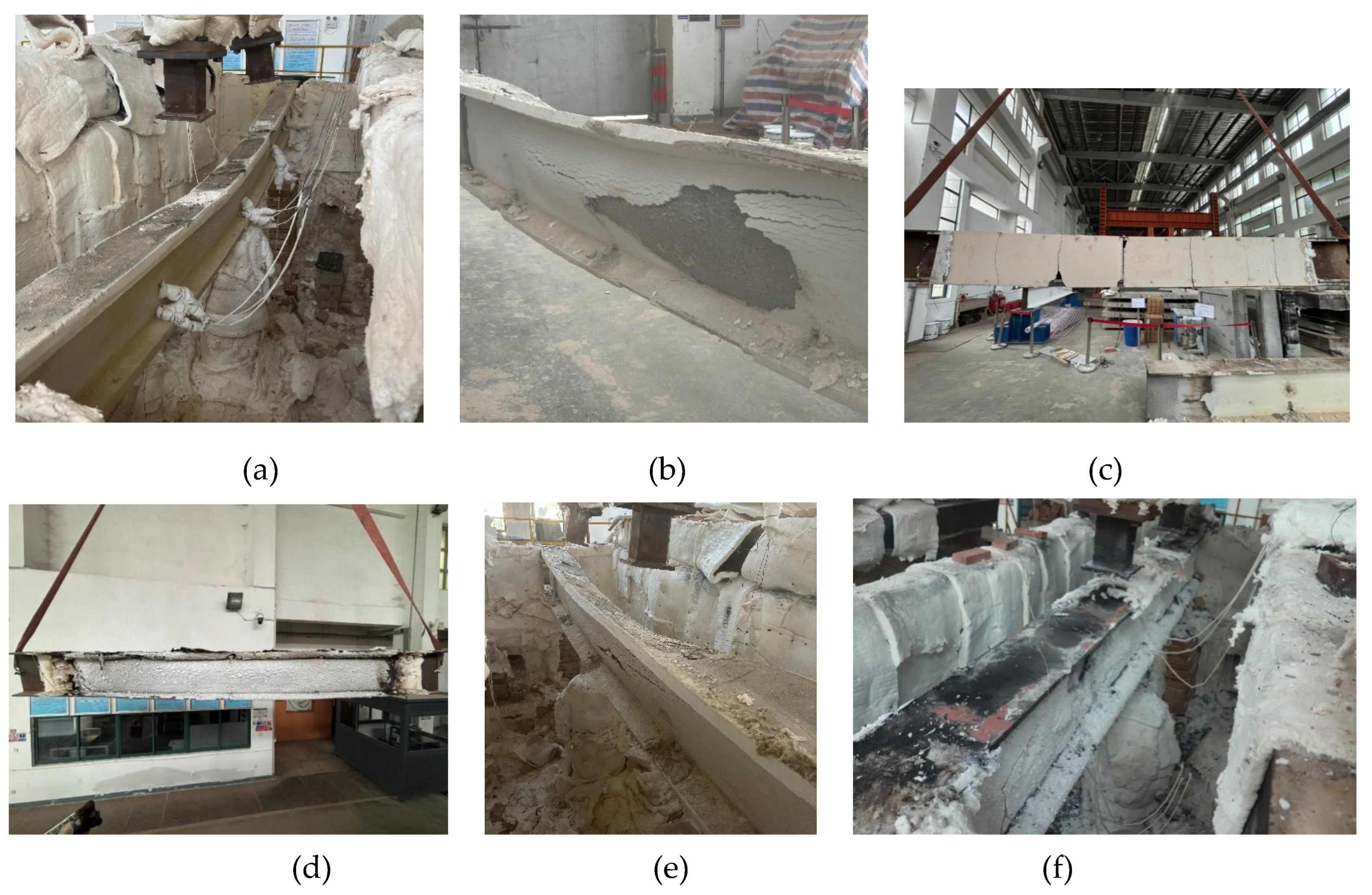 Preprints 160276 g012