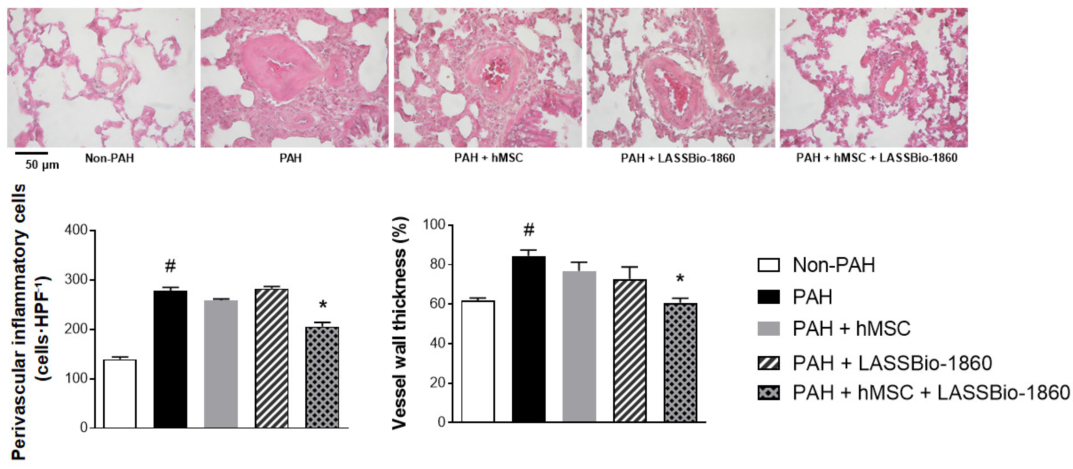 Preprints 187301 g006