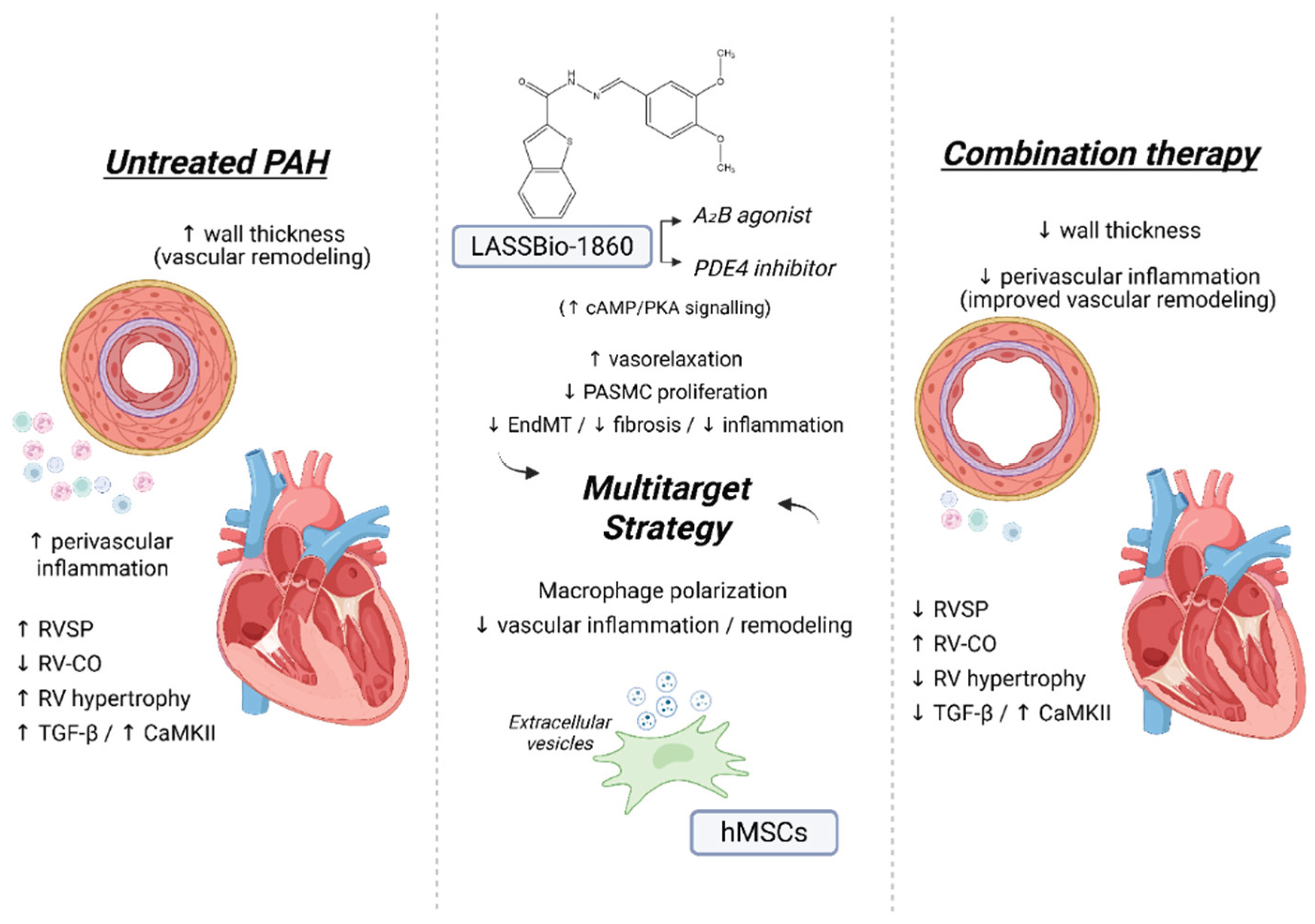 Preprints 187301 g009